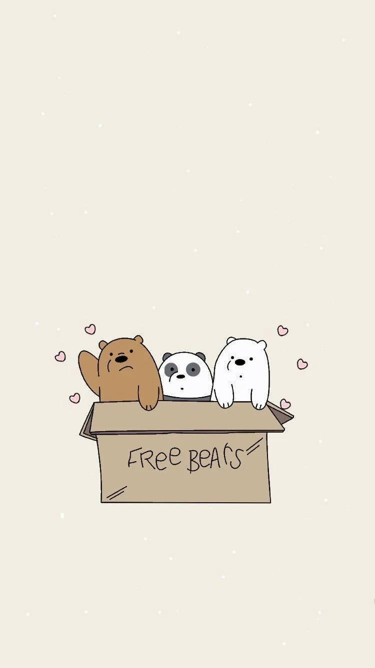 We Bare Bears, cardboard box, free bears, HD Phone Wallpaper