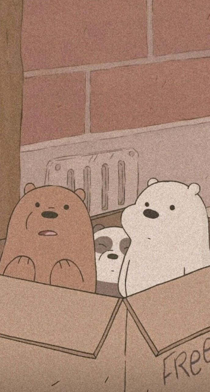 We Bare Bears, cardboard box, free, HD Phone Wallpaper