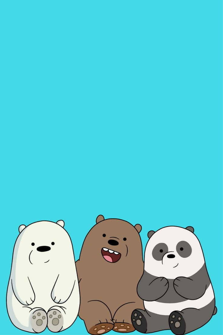 We Bare Bears, white polar bear, brown grizzly, SD Phone Wallpaper