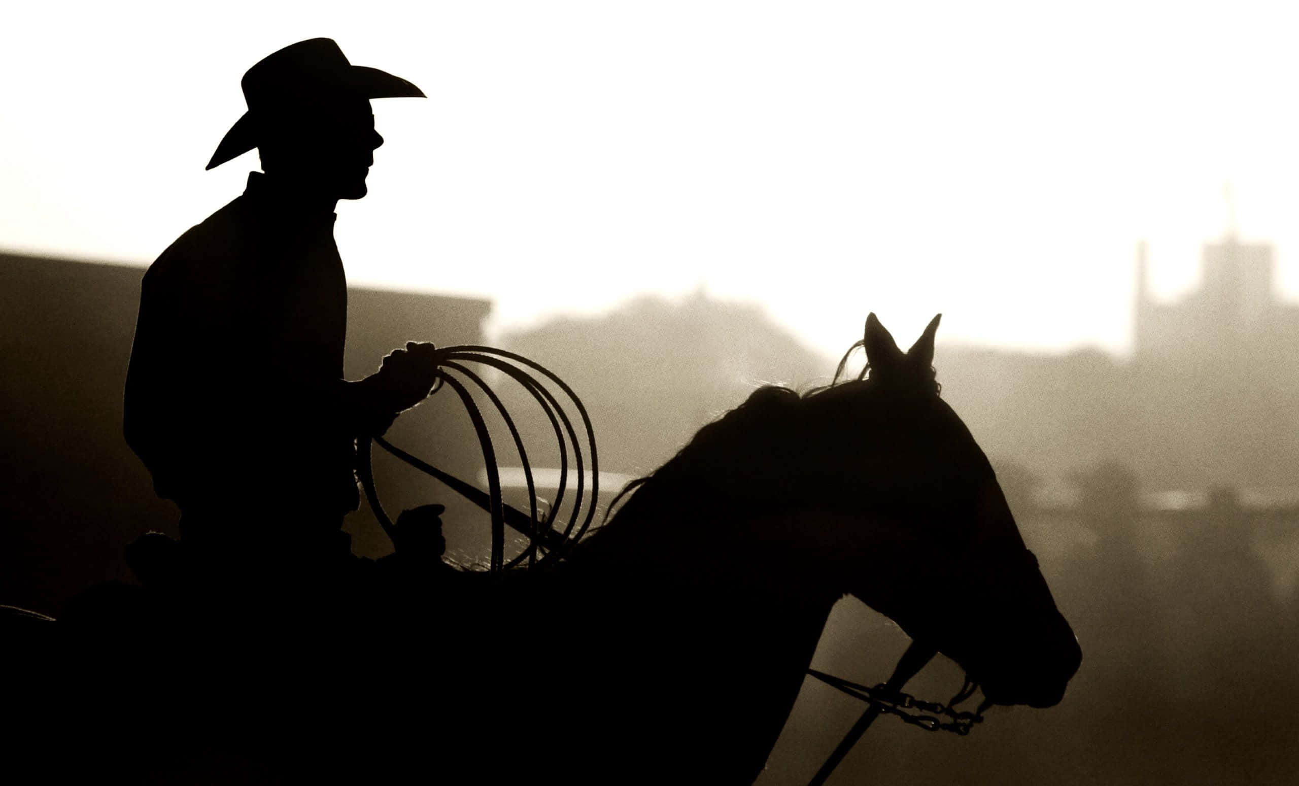 cowboy, horseback, lasso, 2K Desktop Wallpaper