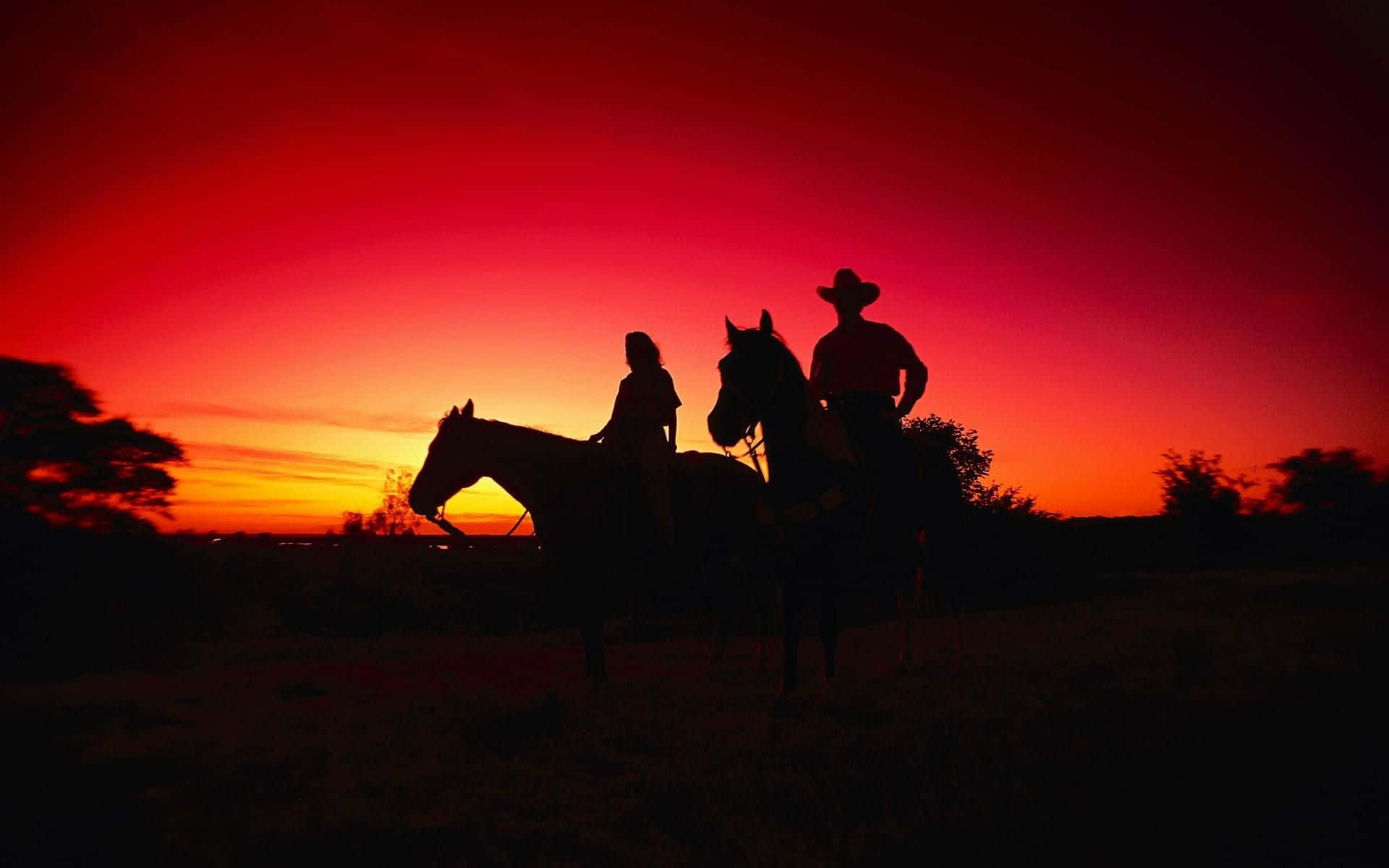 red sky, fiery red and orange sunset, grassy plain, Full HD Desktop Wallpaper