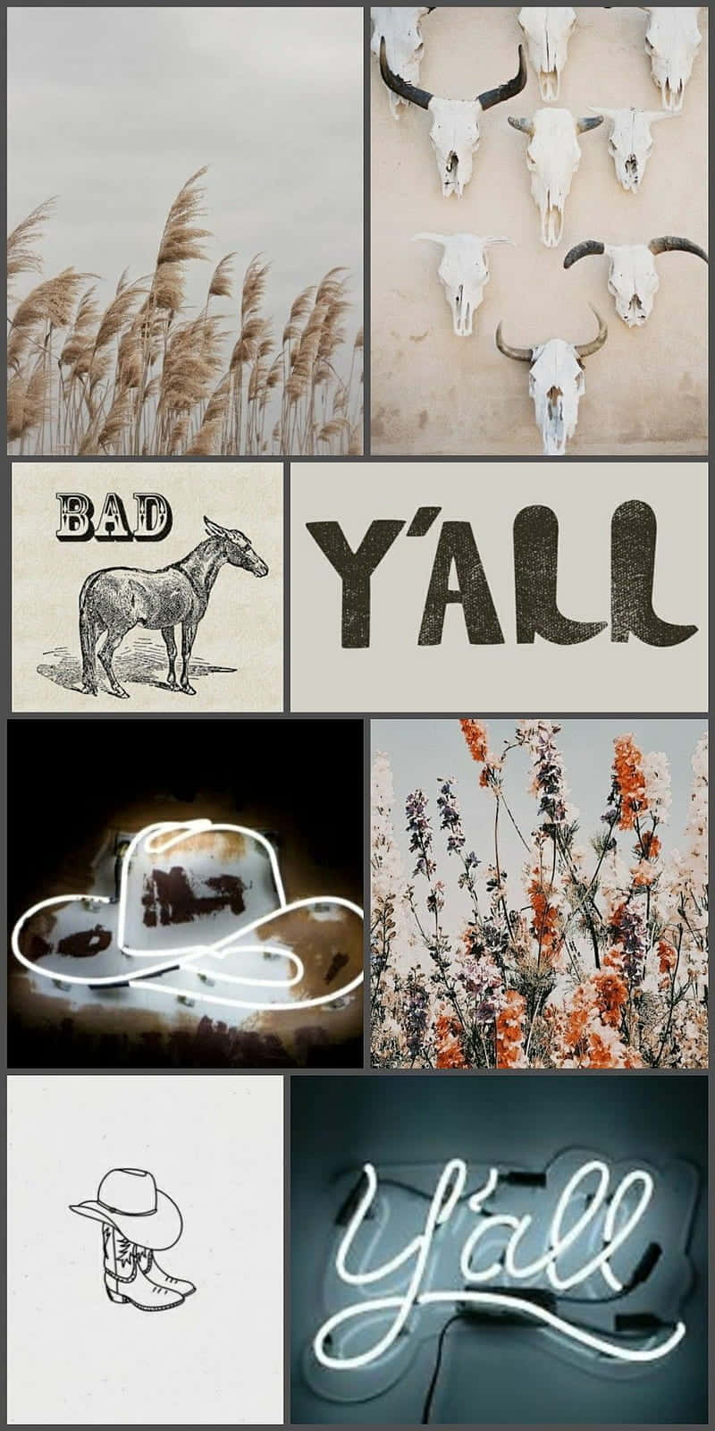 cowboy aesthetic, bull skulls, donkey graphic, HD Phone Wallpaper