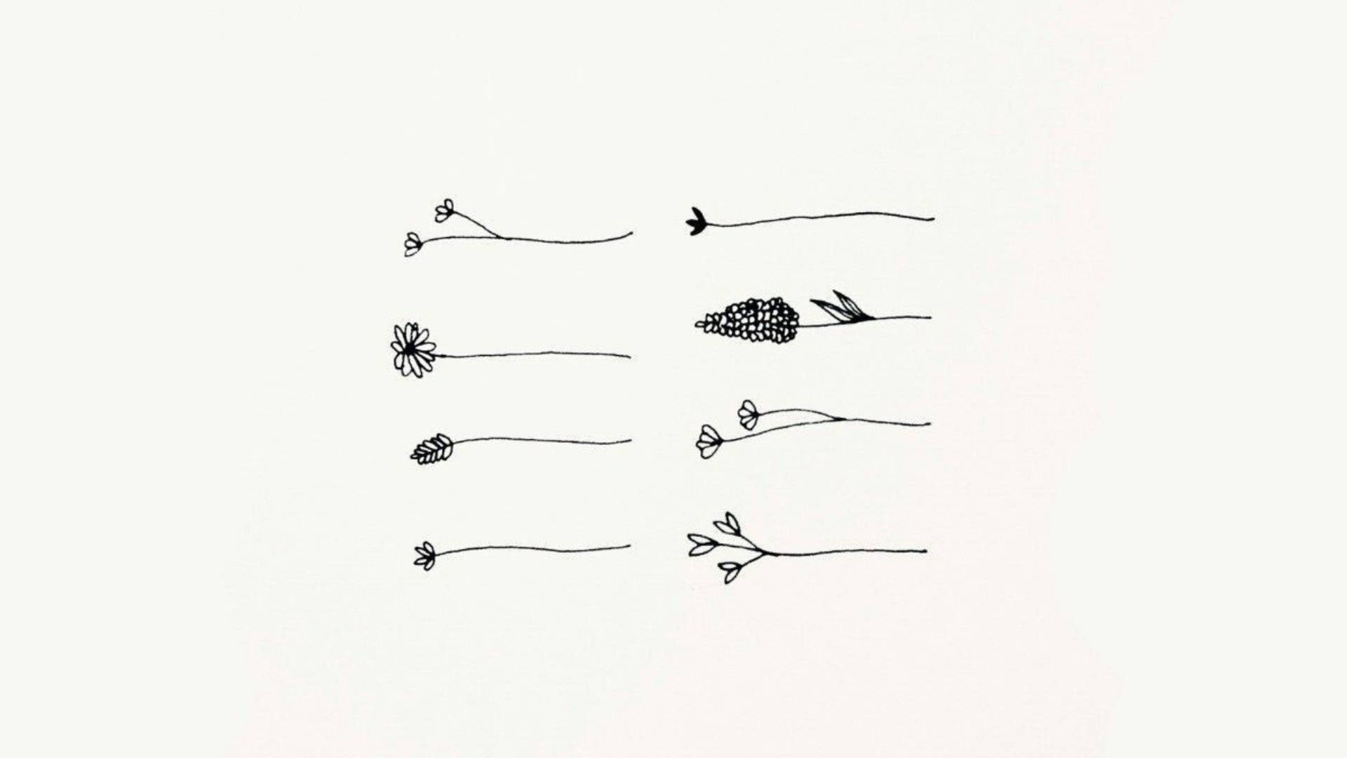 flower doodles, cute white aesthetic, minimalist line drawings, Full HD Desktop Wallpaper