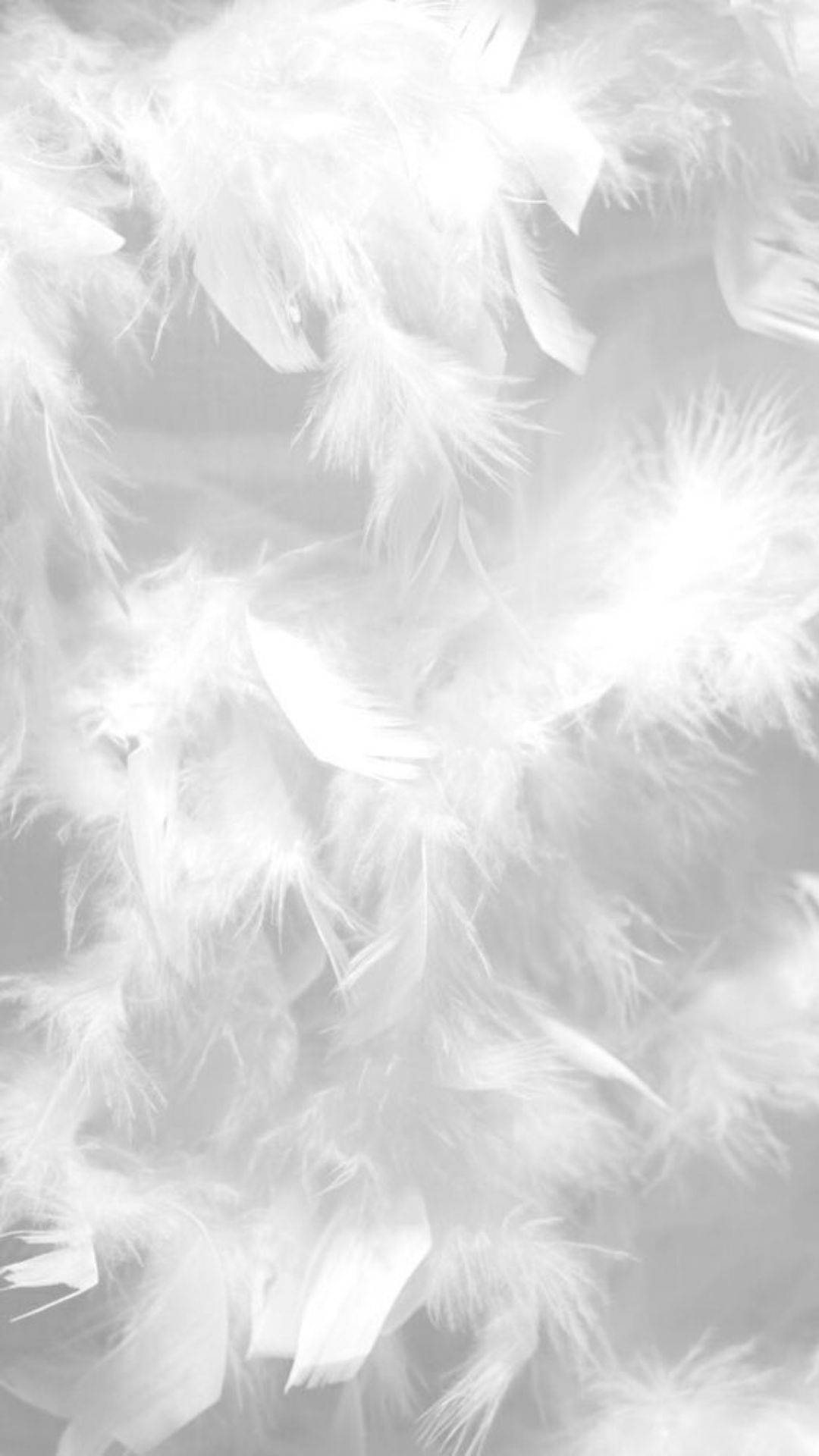 Bright White Feathers Aesthetic, soft white feathers, muted gray background, Full HD Phone Wallpaper