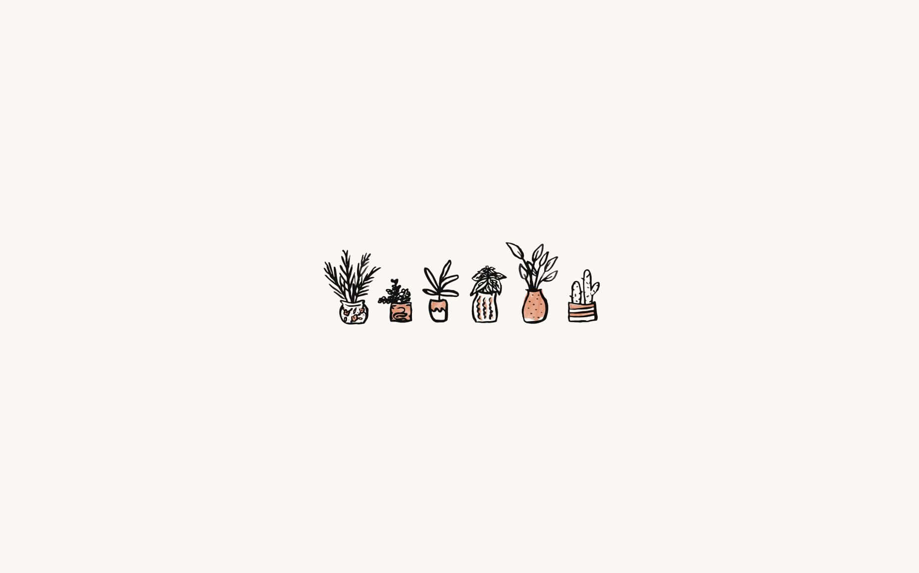 hand-drawn, potted plants, varied foliage, HD Desktop Wallpaper