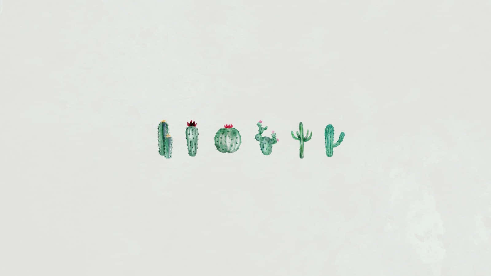 watercolor cacti, red flowers, off-white background, HD Desktop Wallpaper
