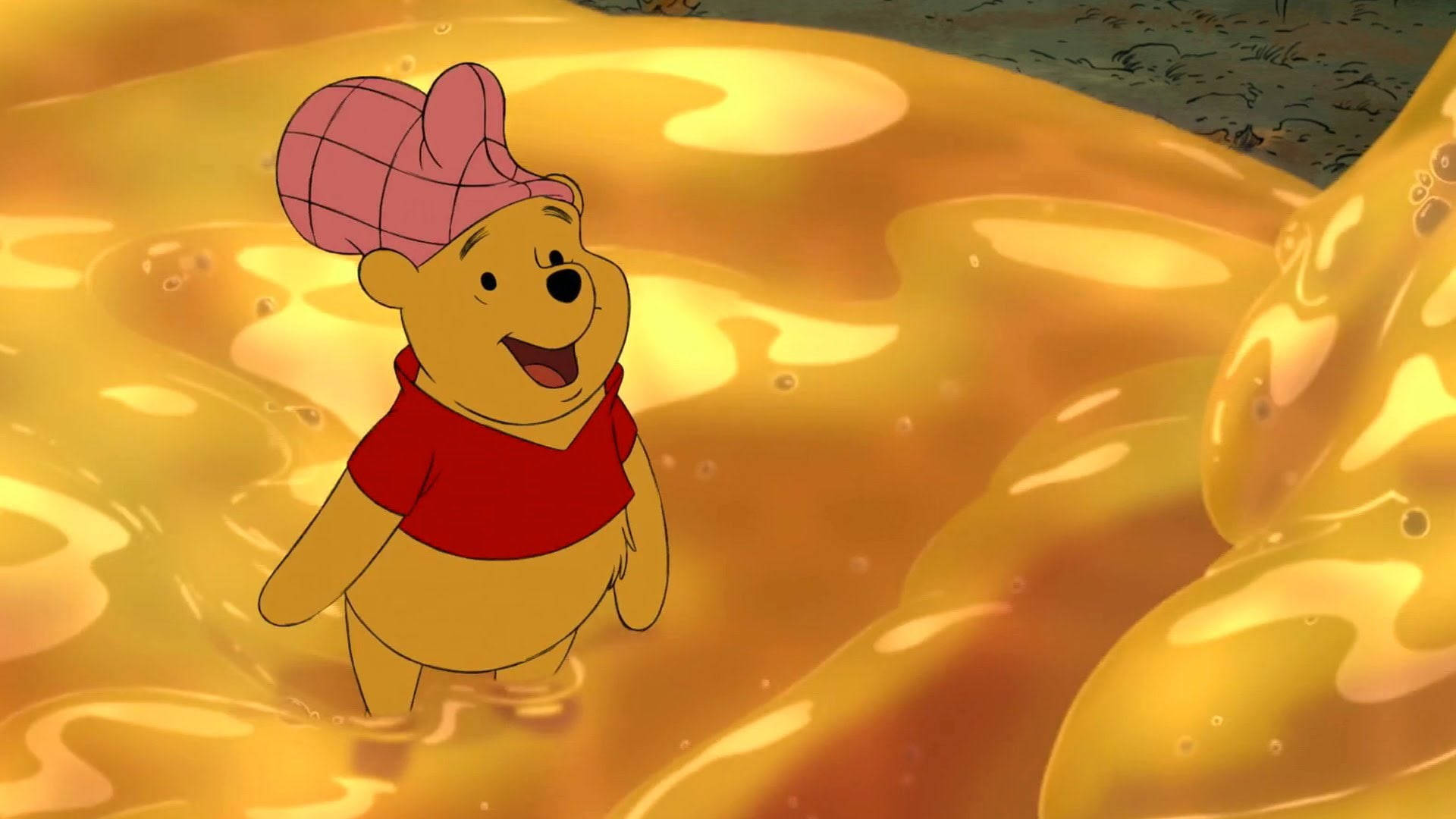 Winnie The Pooh, golden honey, pink checkered hat, Full HD Desktop Wallpaper