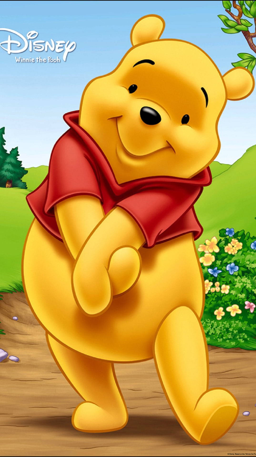 Winnie The Pooh, red shirt, sunlit meadow, Full HD Phone Wallpaper
