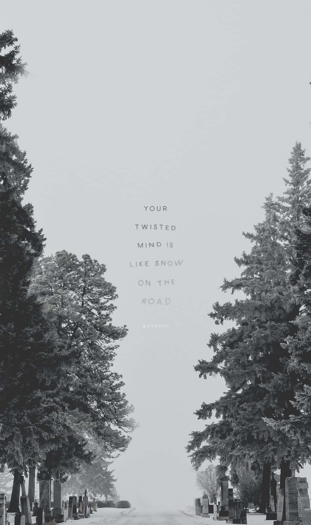 monochrome, winter road, snow-dusted evergreens, HD Phone Wallpaper
