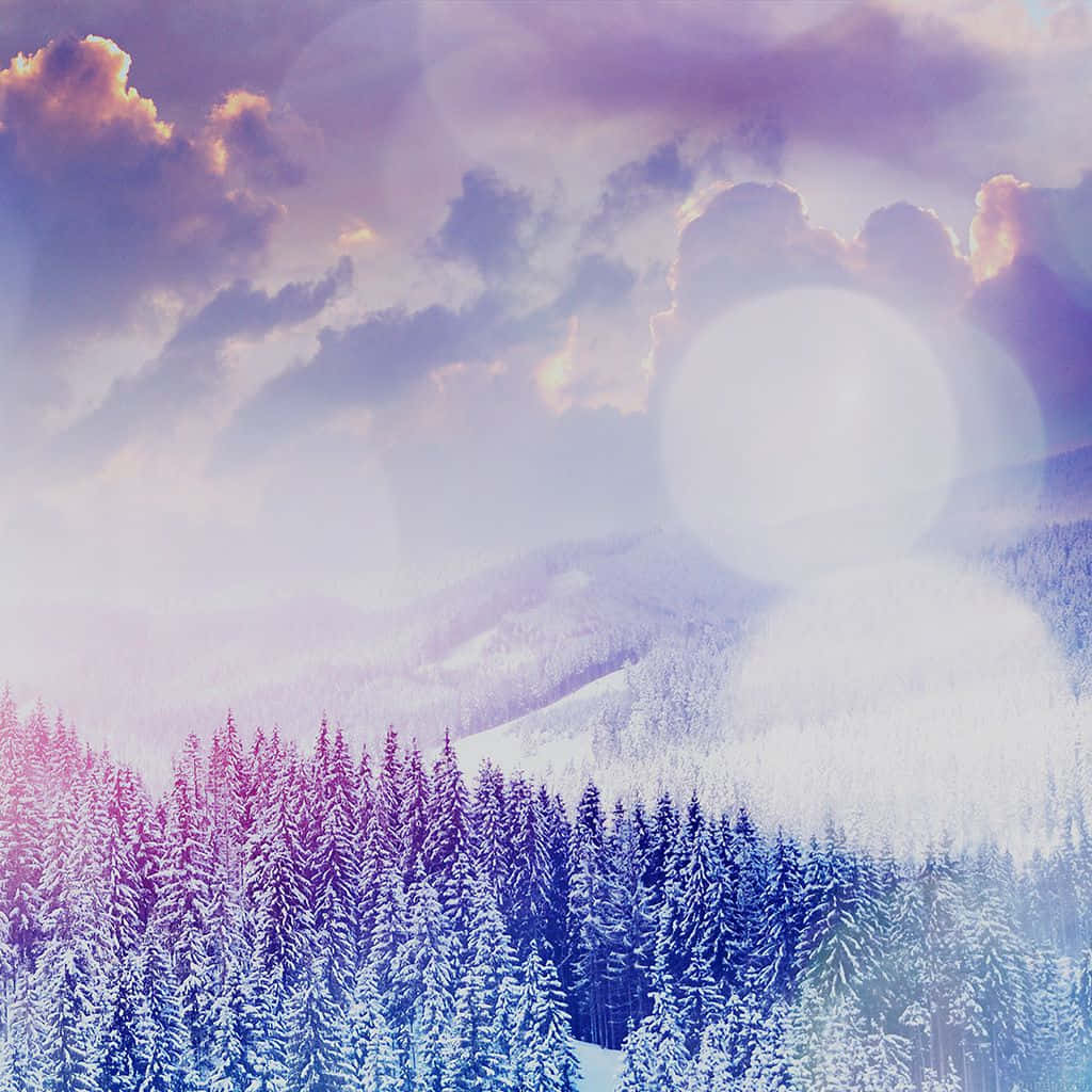 Cozy Winter Wonderland, snow-covered pine forest, dreamy purple and pink sunset sky, SD Desktop Wallpaper