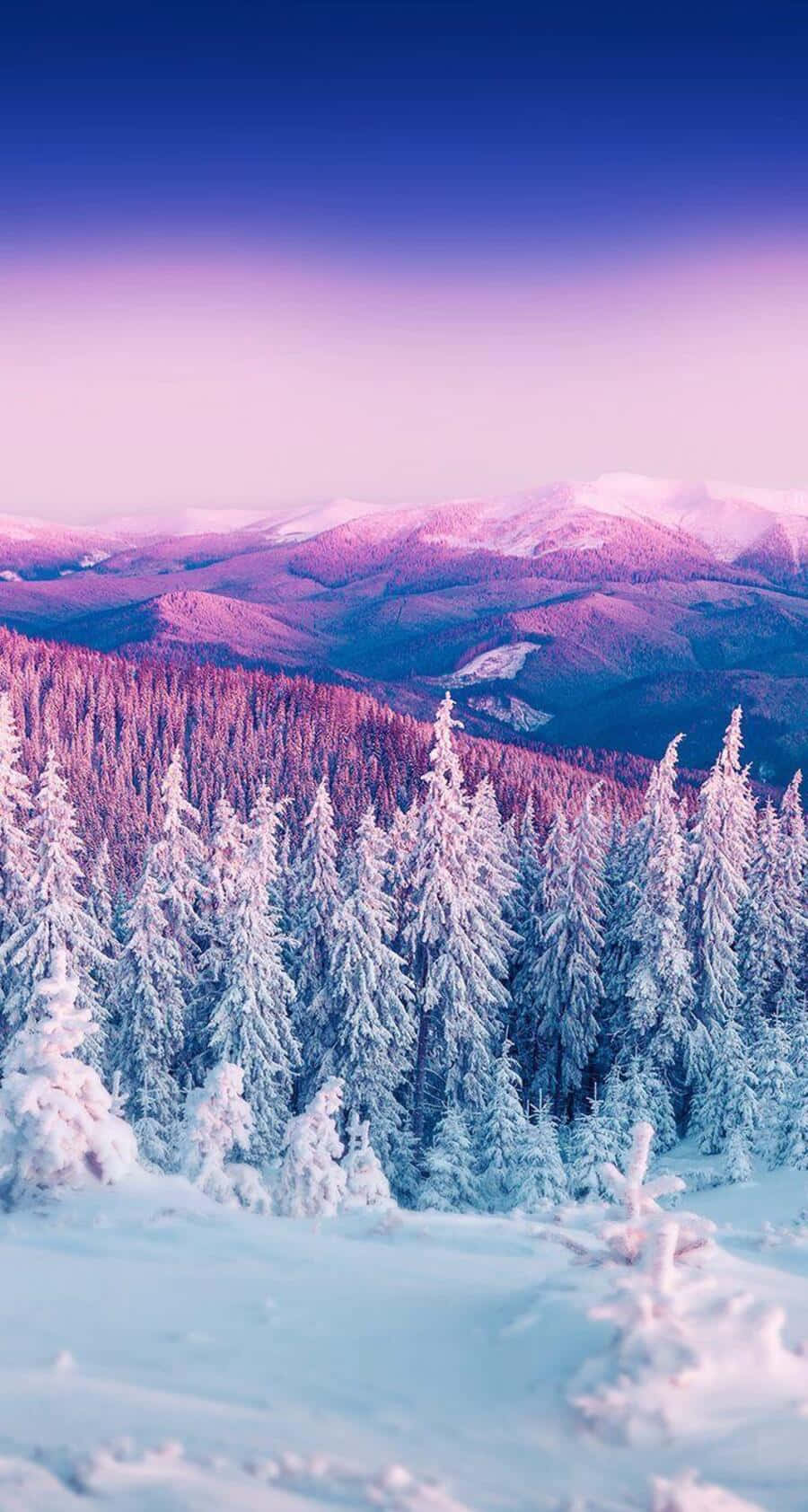 snow-covered pine trees, purple and blue twilight sky, distant mountain ranges, HD Phone Wallpaper