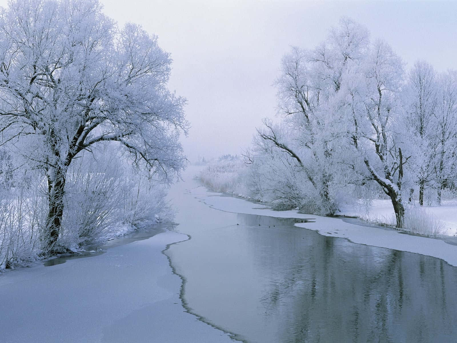 Cozy Winter Wonderland, snow-covered trees, partially frozen river, HD Desktop Wallpaper