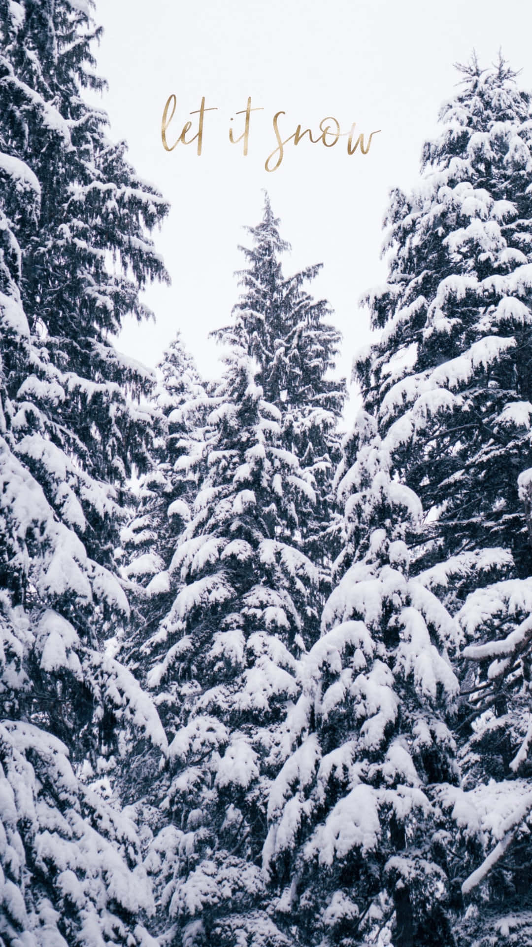 Cozy Winter Wonderland in the Forest, snow-laden evergreen trees, pale winter sky, Full HD Phone Wallpaper