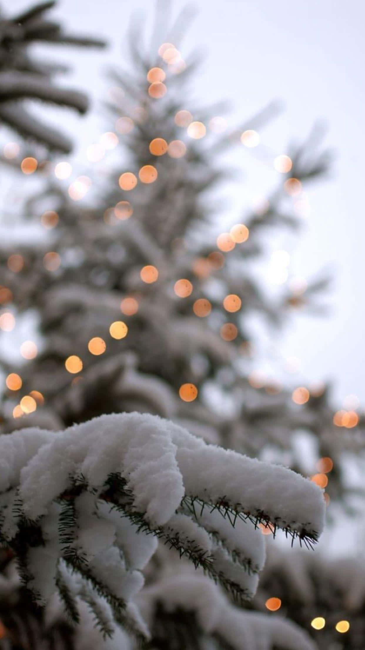 cute winter aesthetic, snow-laden pine branches, festive lights, Full HD Phone Wallpaper