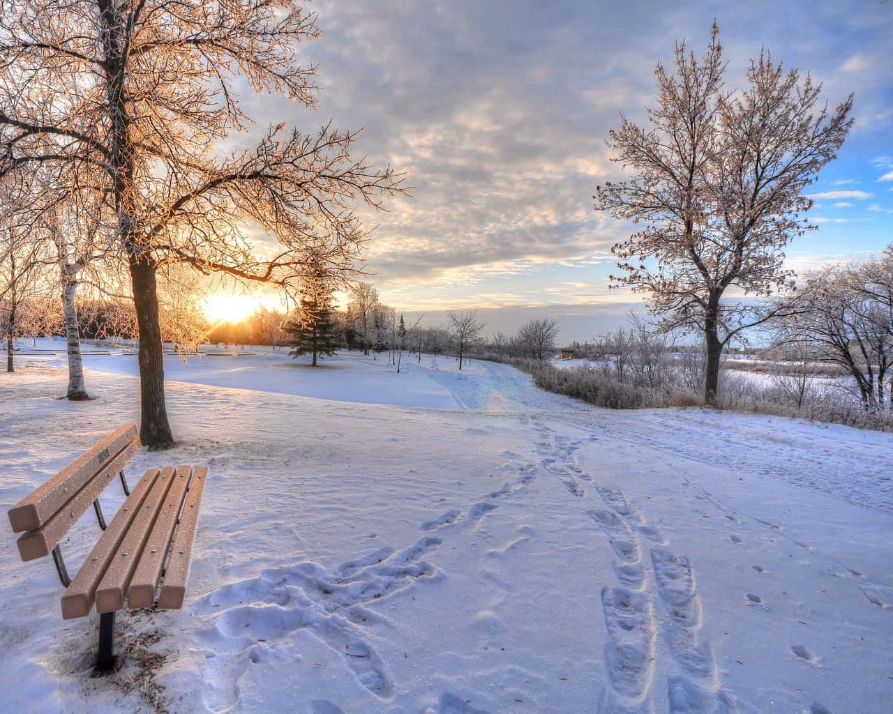 wooden bench, snowy park, sunrise, HD Desktop Wallpaper