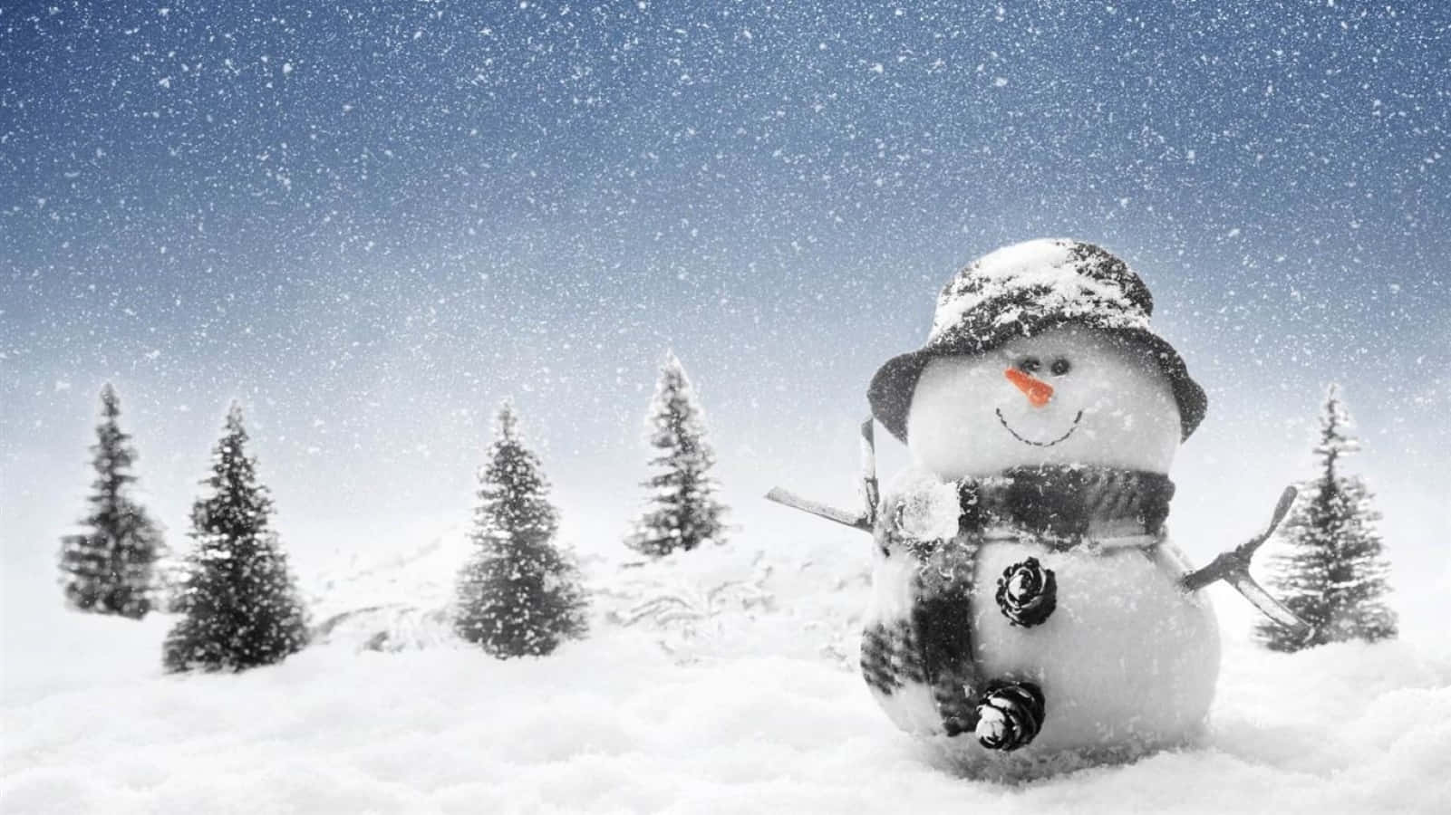 snowman, hat, scarf, HD Desktop Wallpaper