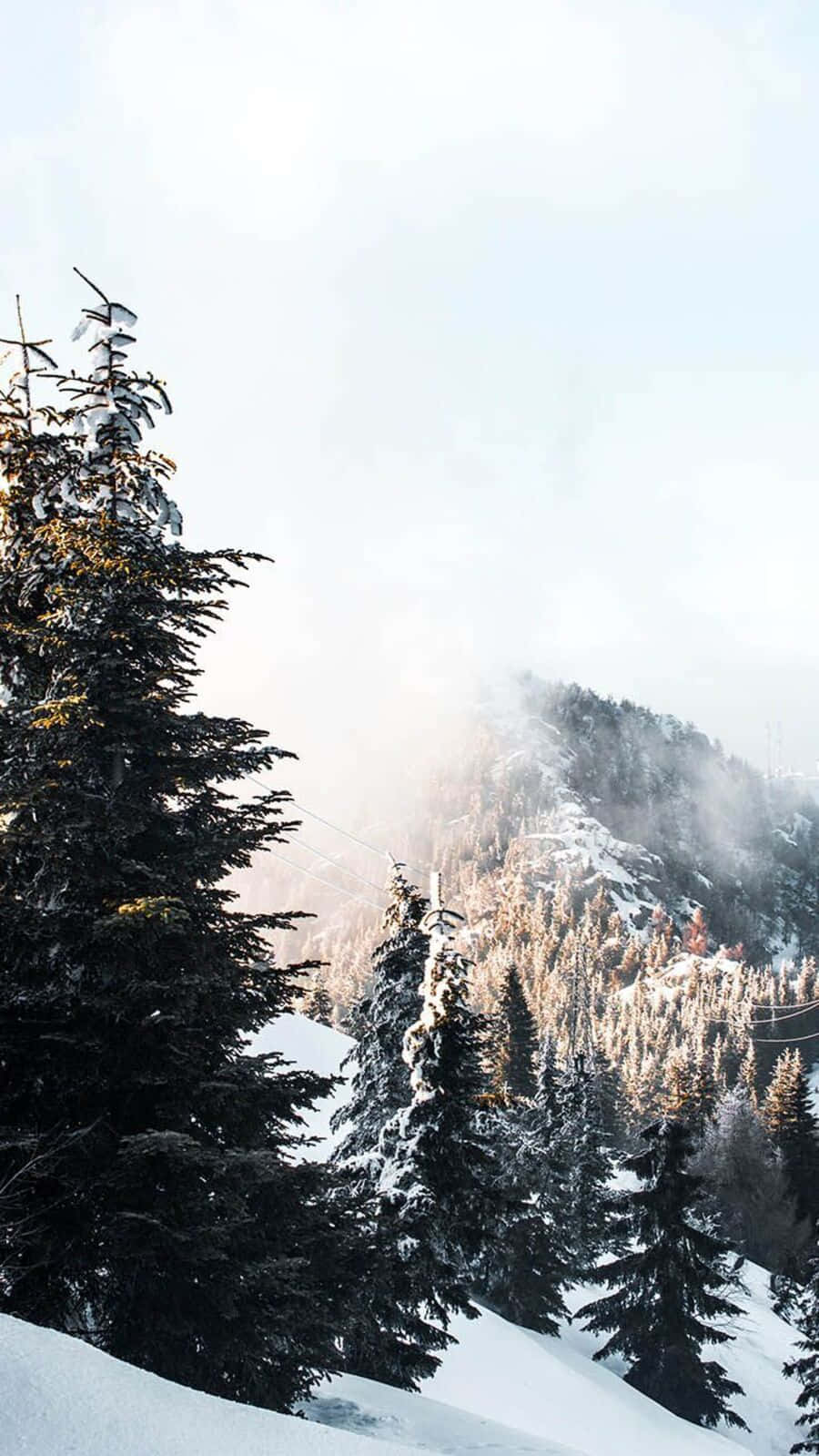 Cozy Winter Wonderland, snow, evergreen trees, HD Phone Wallpaper