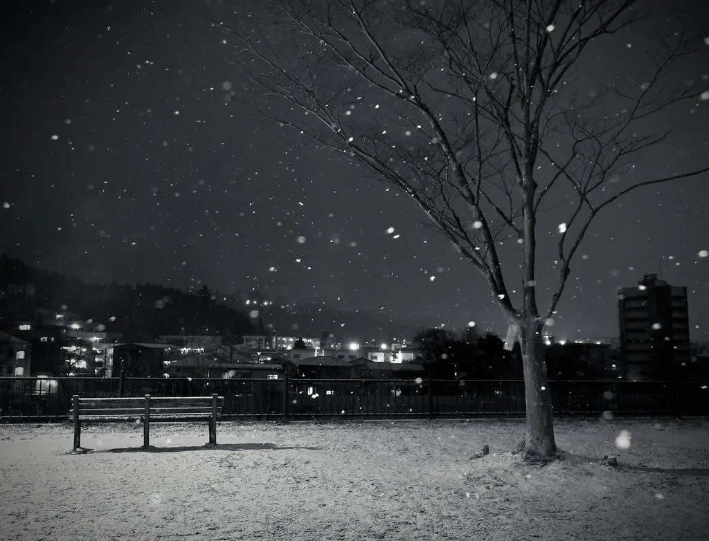 Cute Winter iPhone