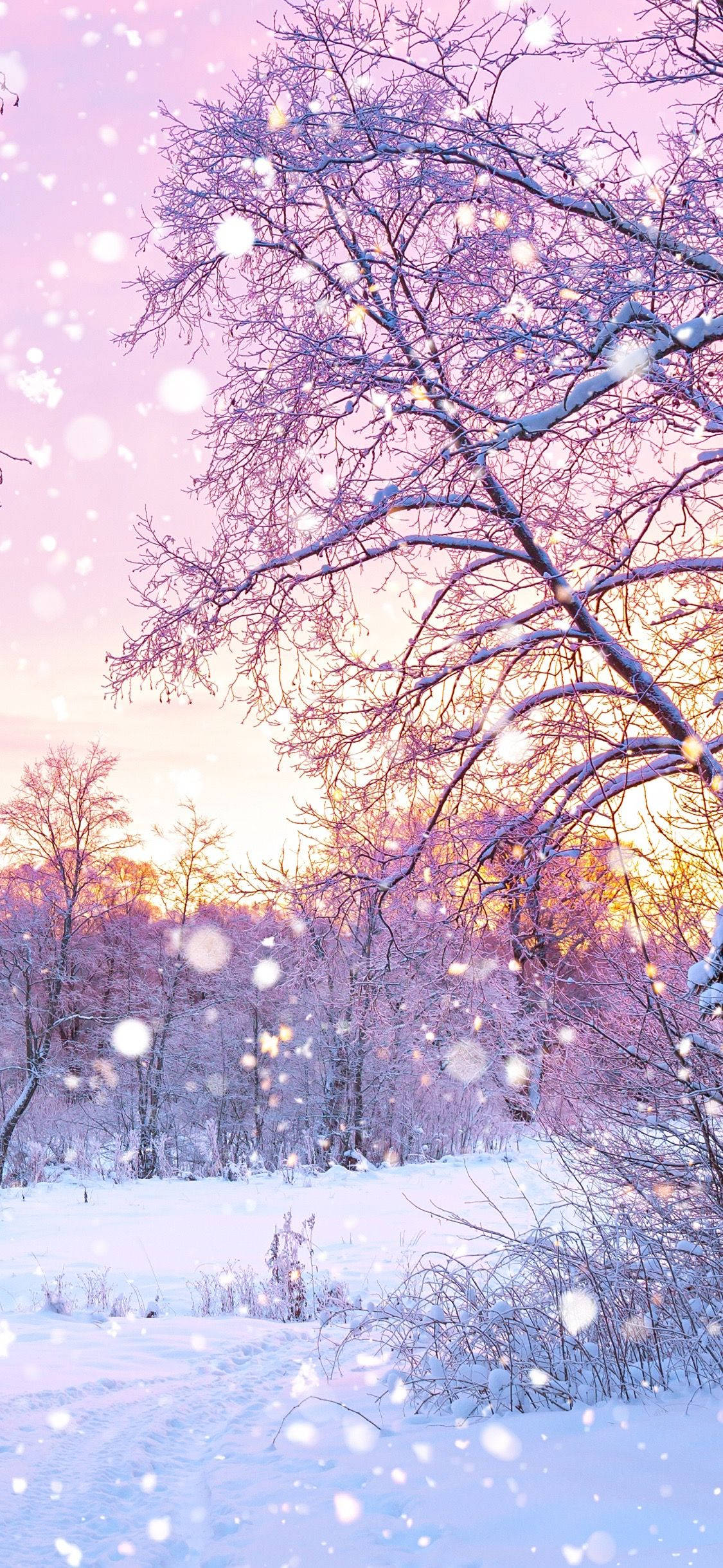Cute Winter iPhone, snow, bare trees, Full HD Phone Wallpaper