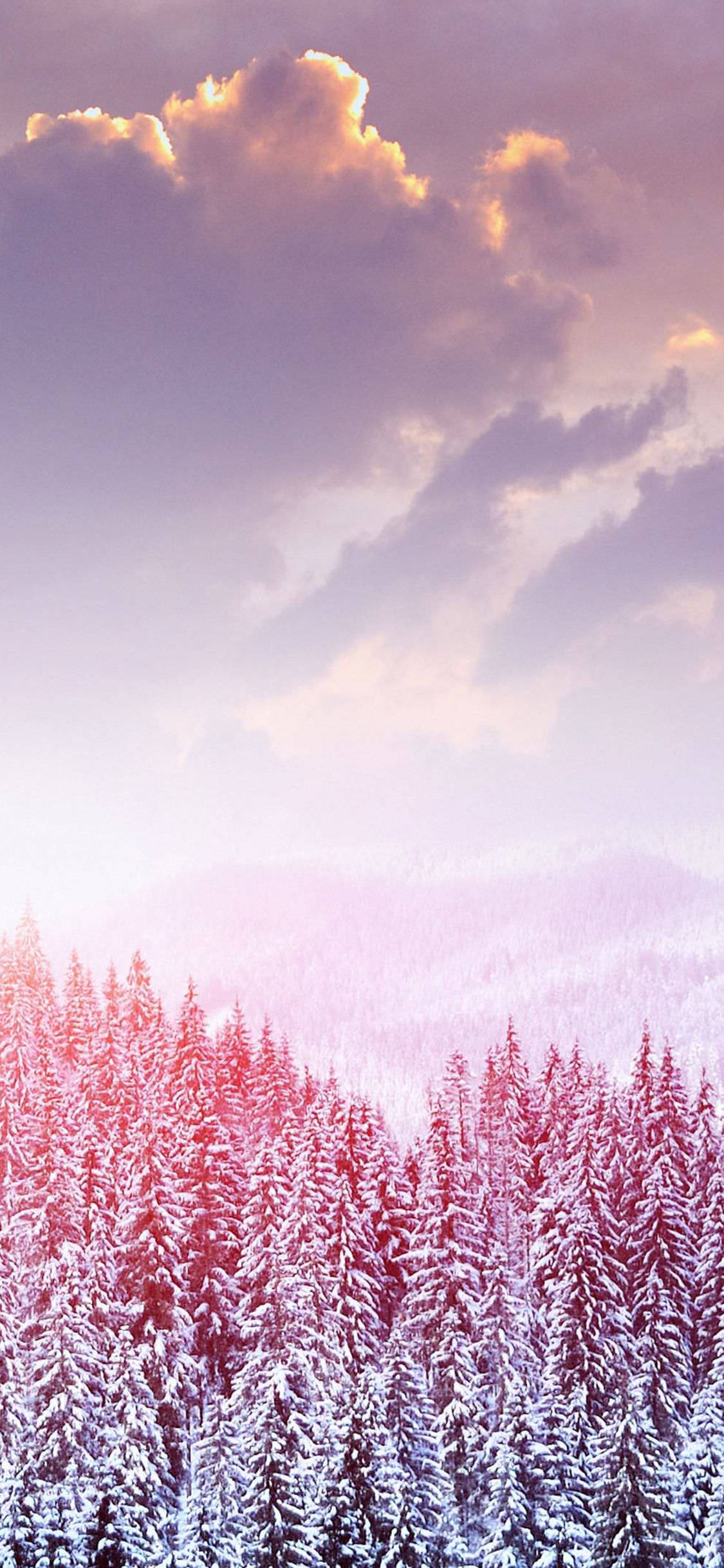 Cute Winter iPhone, snowy pine forest, soft purple and pink sunset sky, Full HD Phone Wallpaper