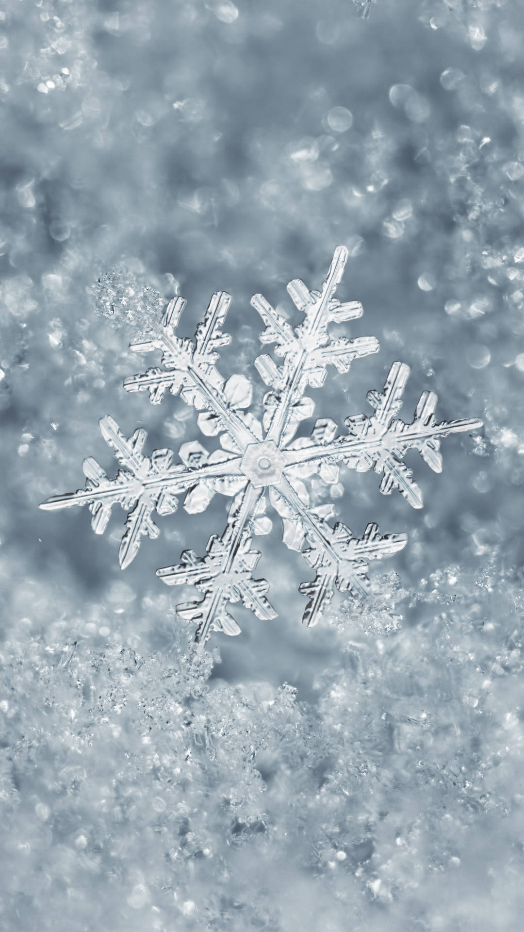 snowflake, soft snow, cool blue light, Full HD Phone Wallpaper