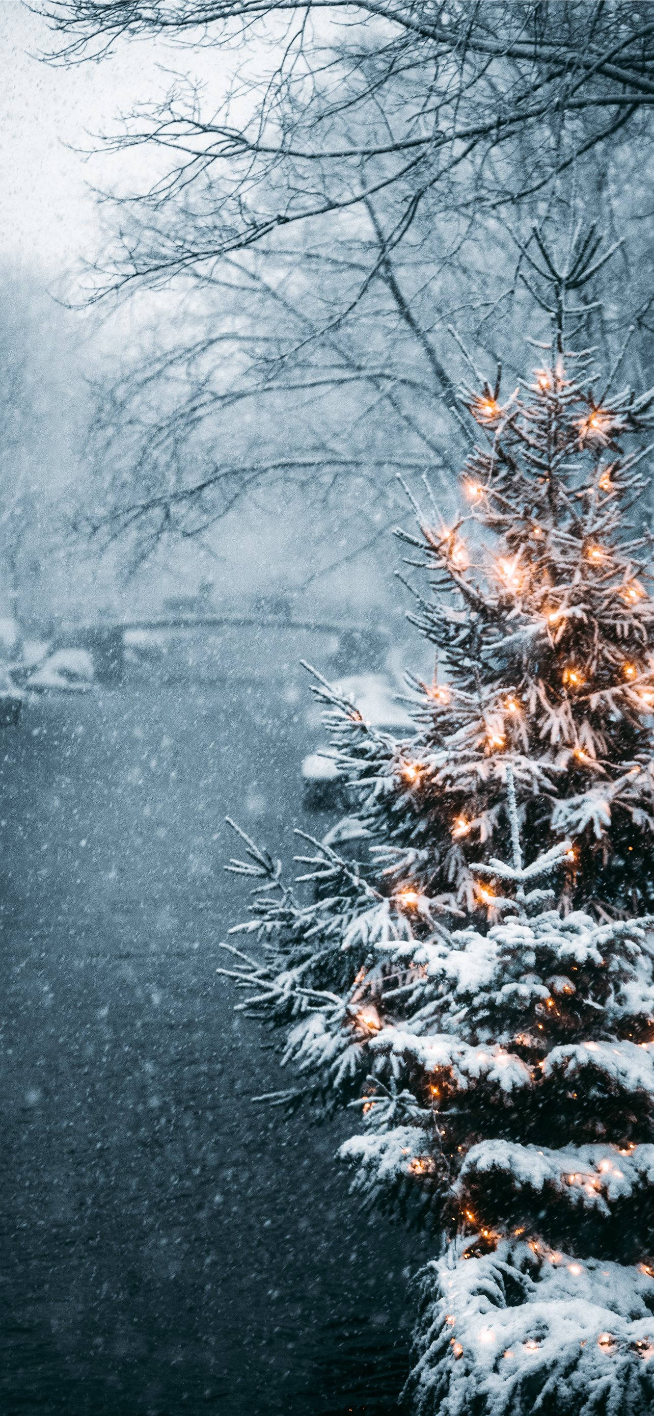 cute winter iphone, snow-covered evergreen tree, warm lights, 2K Phone Wallpaper