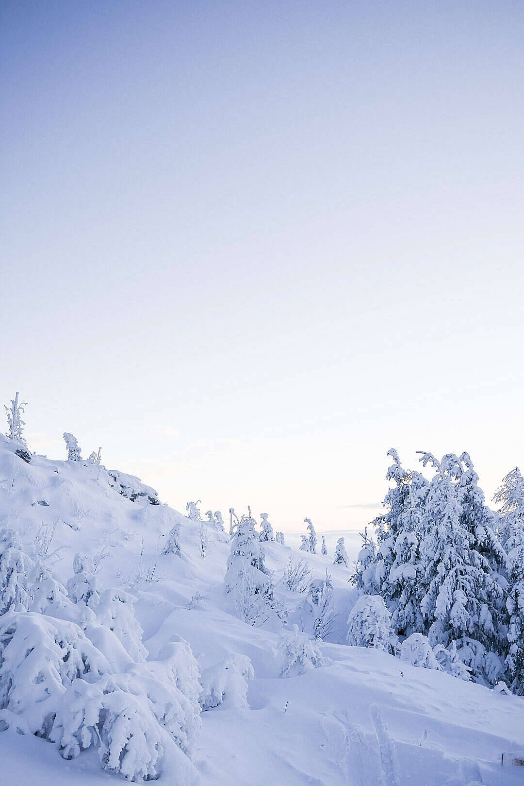 winter snow forest, snow-covered trees, hills, HD Phone Wallpaper