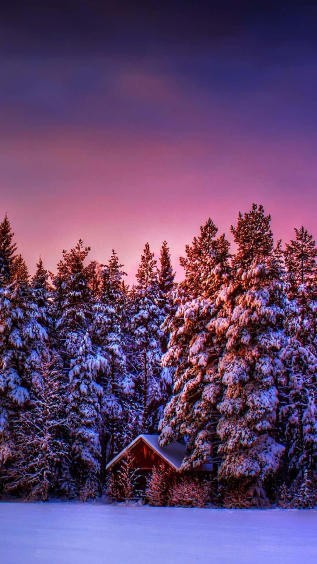 wooden cabin, snow-covered pine trees, vibrant pink and purple twilight sky, Full HD Phone Wallpaper