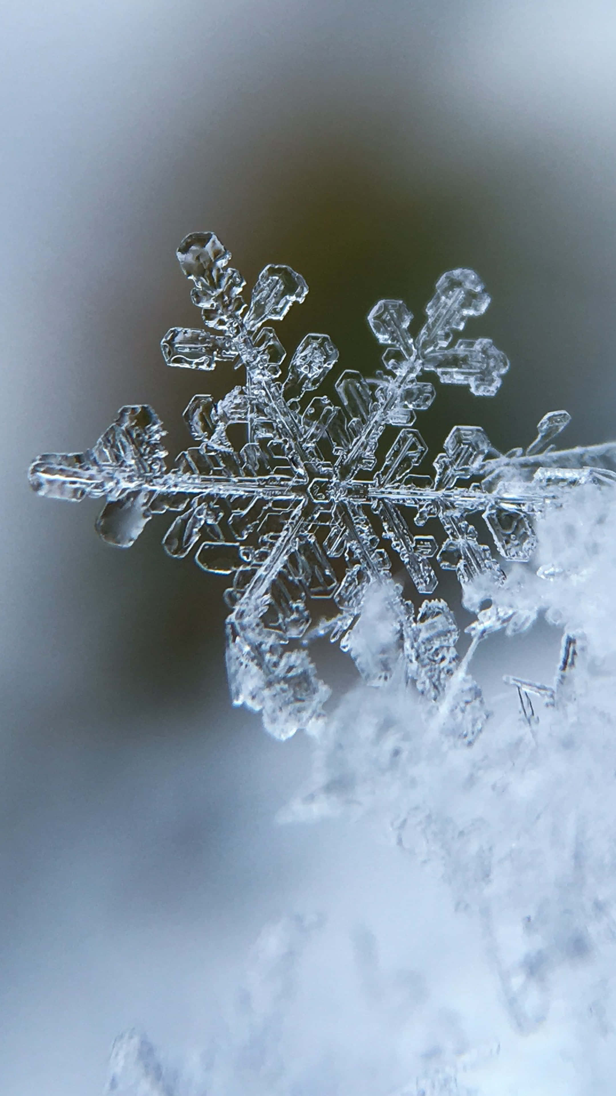 Cute Winter Snowflake Phone, ice crystal snowflake, hexagonal symmetry, 4K Phone Wallpaper