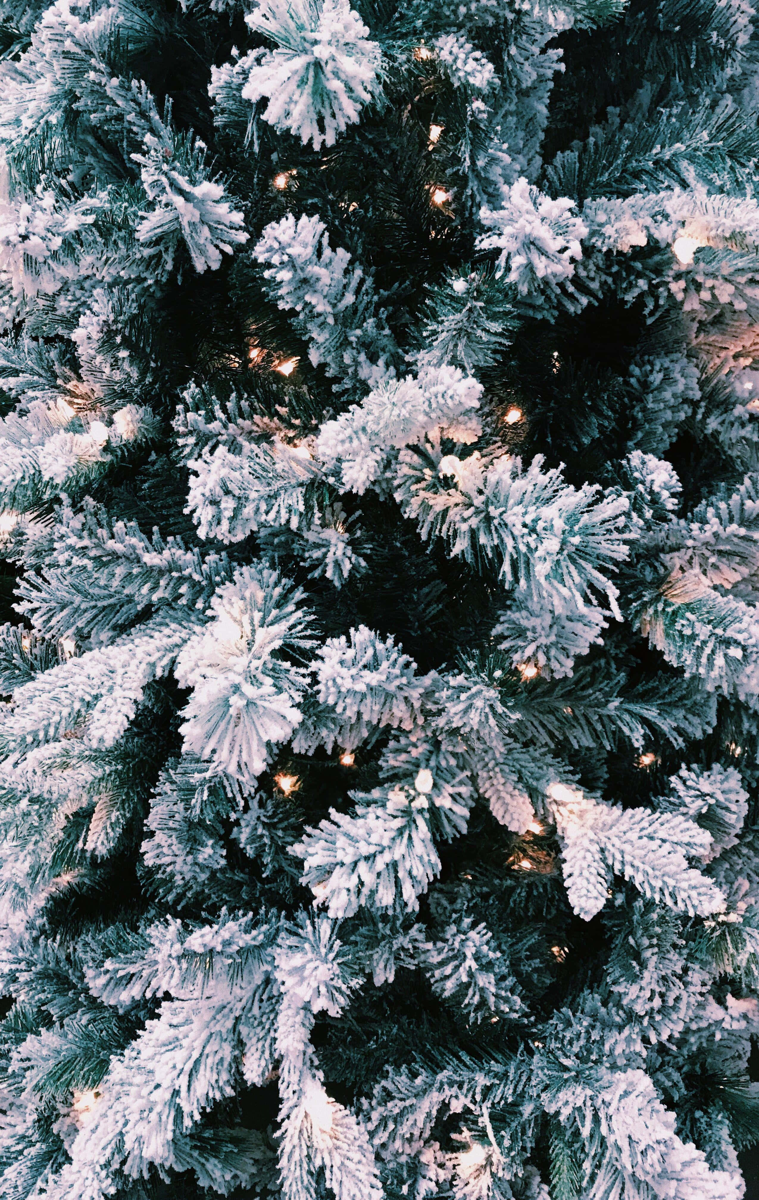 snow-dusted evergreen tree, warm fairy lights, glowing through branches, 4K Phone Wallpaper