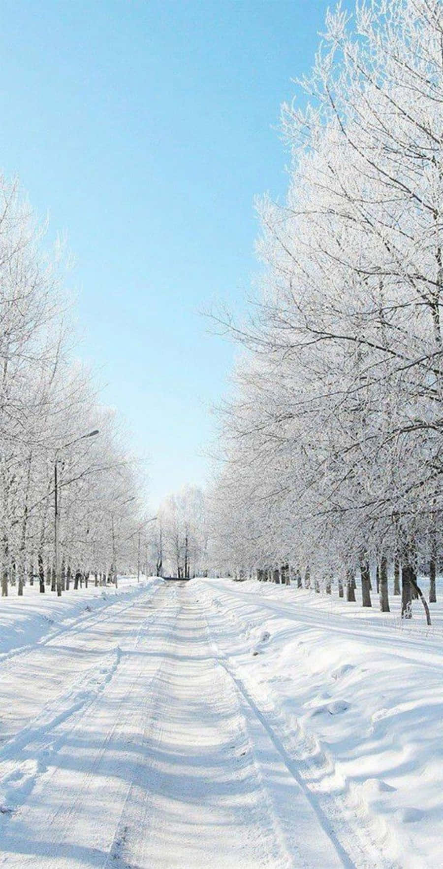 snow-covered road, frost-laden trees, clear blue winter sky, HD Phone Wallpaper