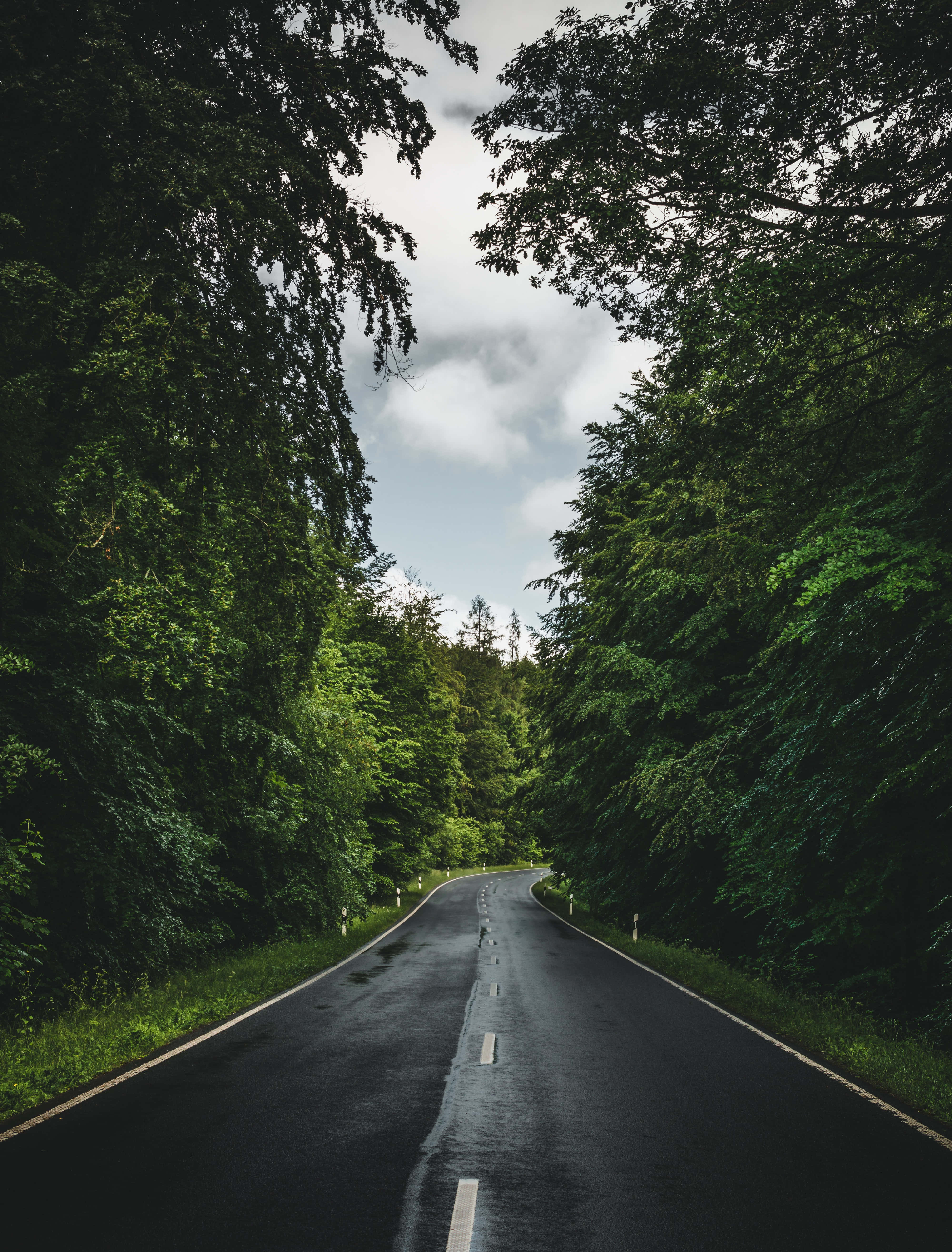 cute winter phone, 4000 x 5262, wet asphalt road, 5K Phone Wallpaper