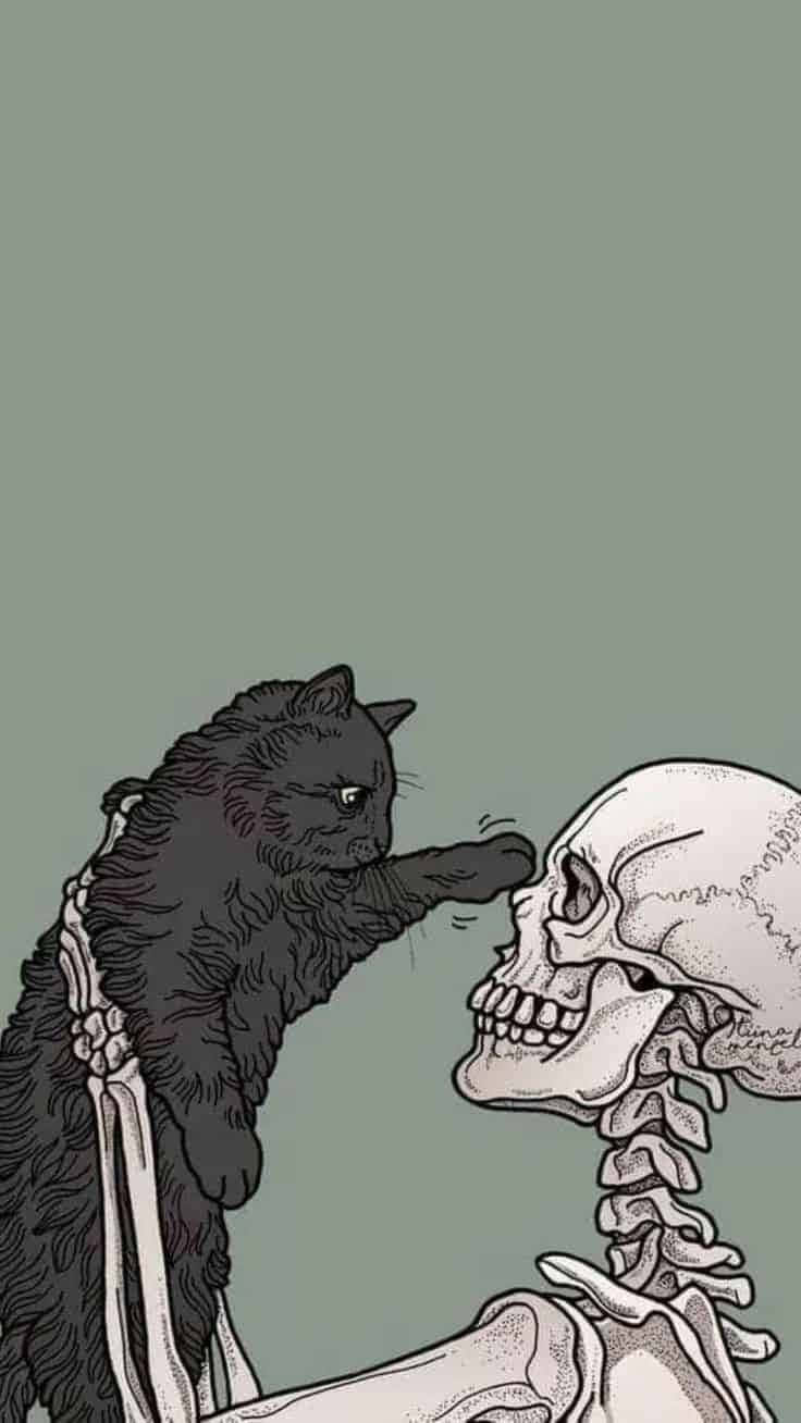 cute witchy skeleton, black cat, human skull with visible spine, HD Phone Wallpaper