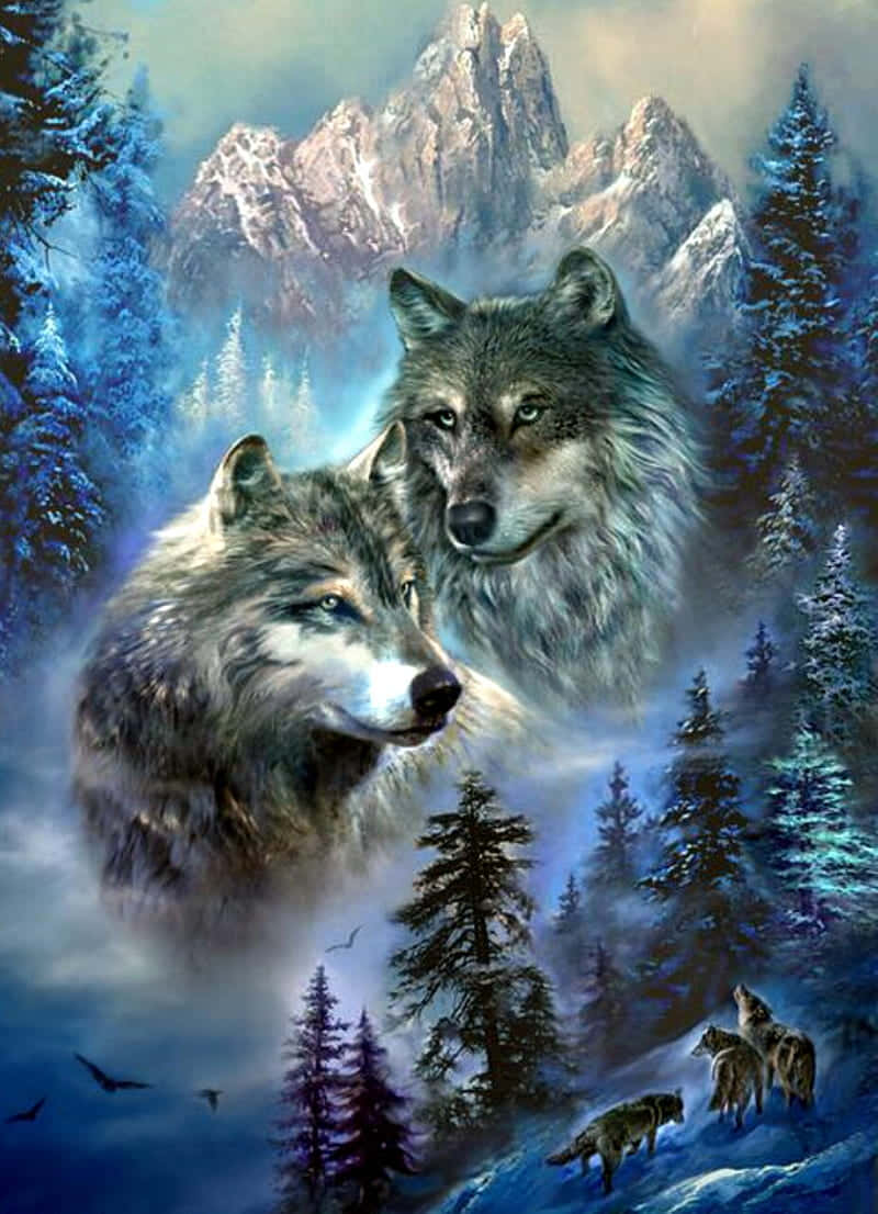 Cute Wolves, pine trees, snowy forest, SD Phone Wallpaper