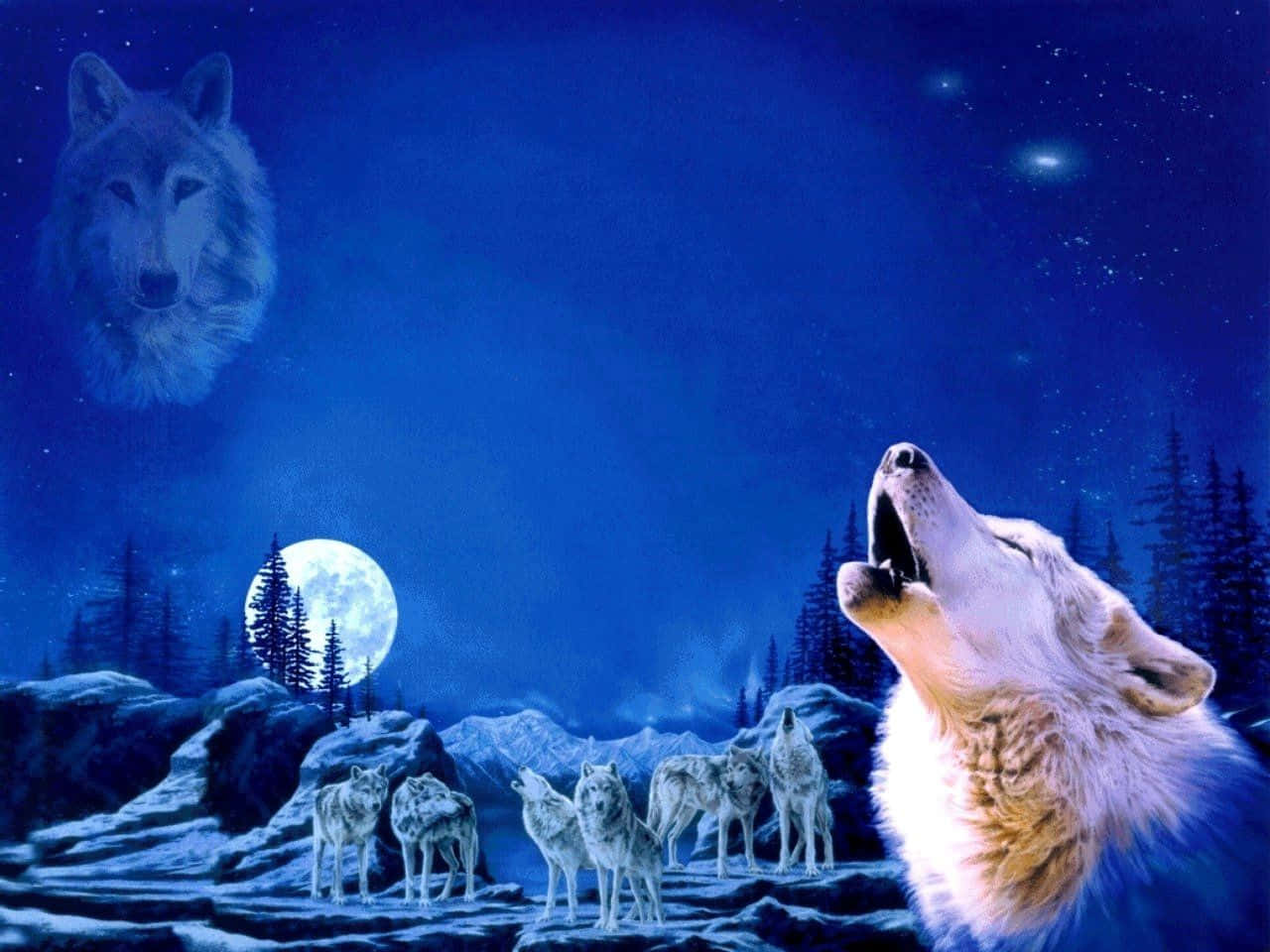 Gazing Into the Future, full moon, spectral wolf, HD Desktop Wallpaper