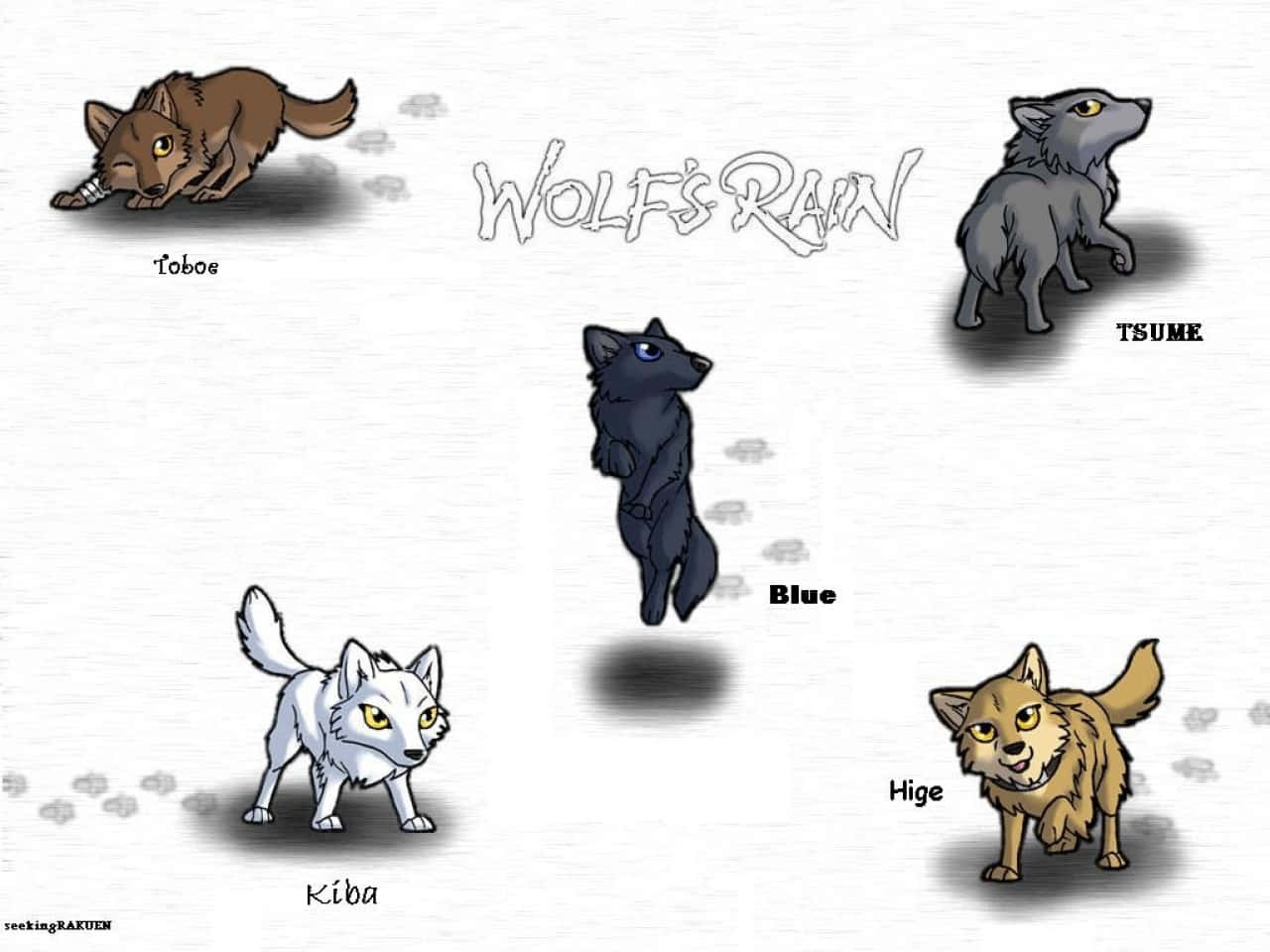 Wolves Rain, snowy ground, paw prints, HD Desktop Wallpaper