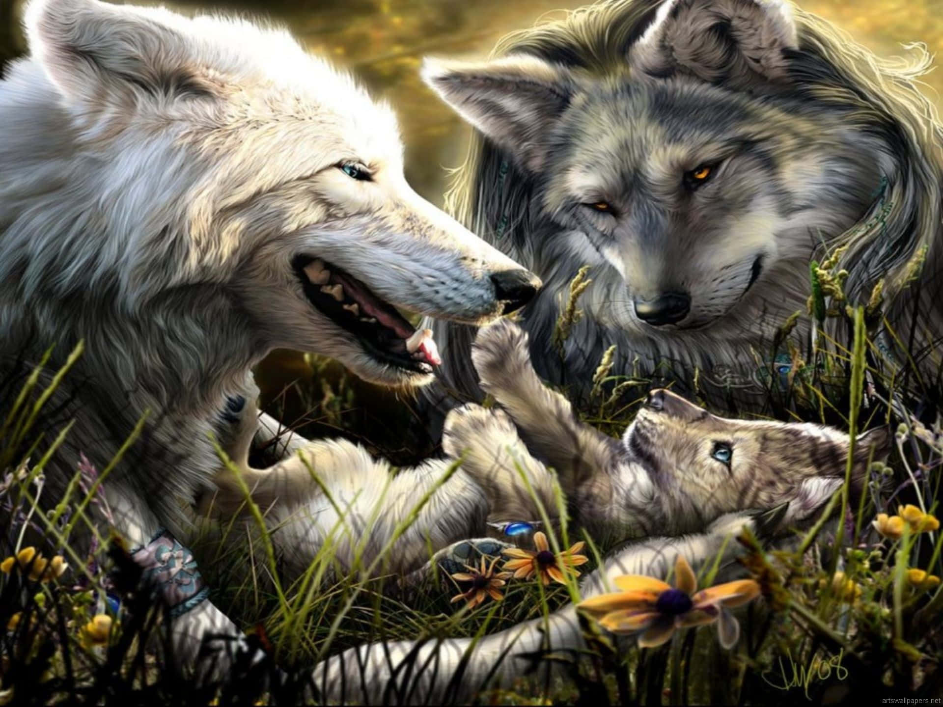 Cute Wolves, pup, sunlit meadow, Full HD Desktop Wallpaper