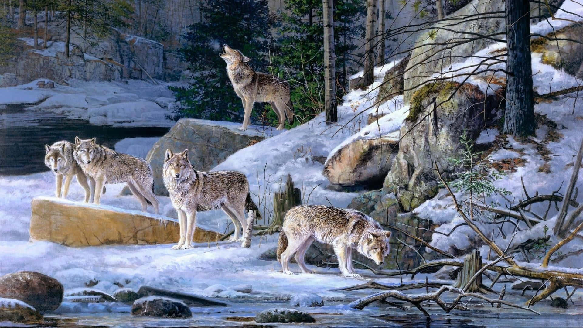 cute wolves, snowy forest, river, Full HD Desktop Wallpaper