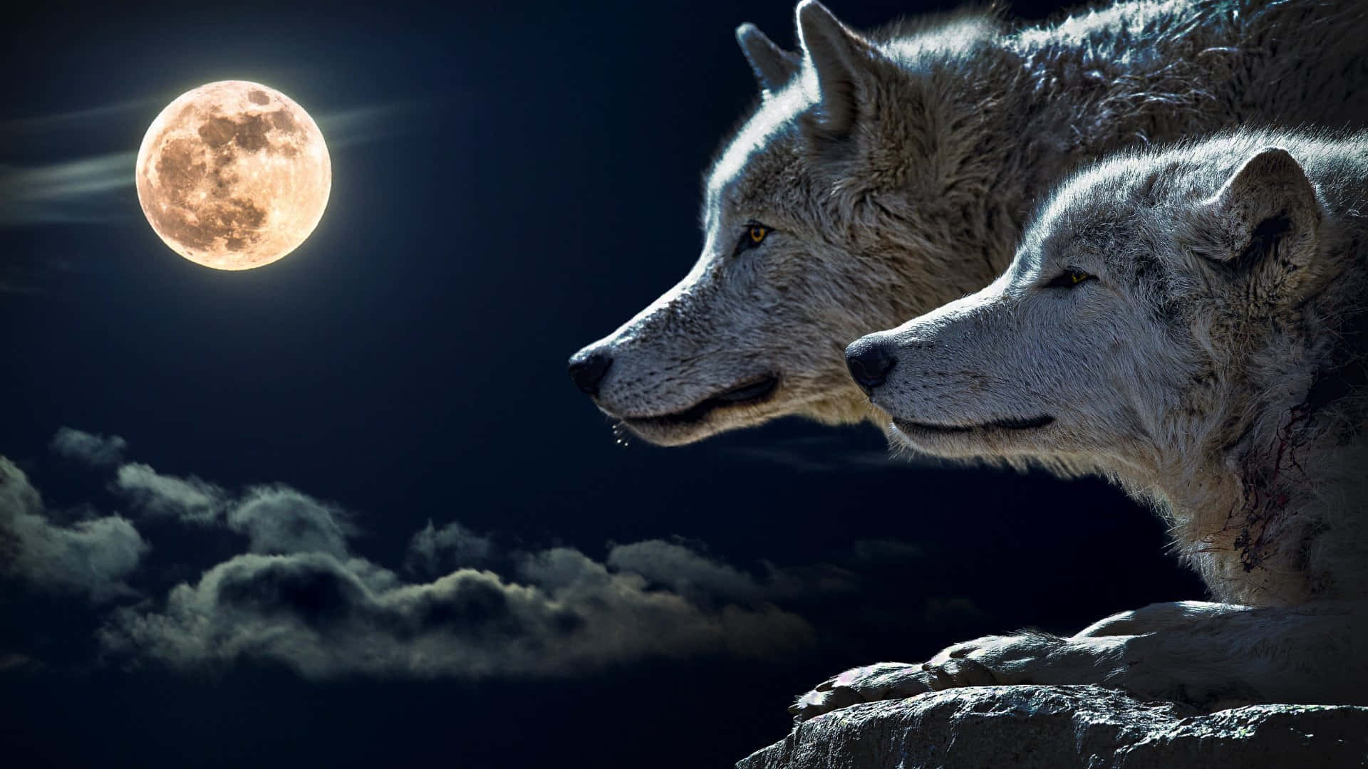 Cute Wolves, full moon, dark cloudy night sky, Full HD Desktop Wallpaper
