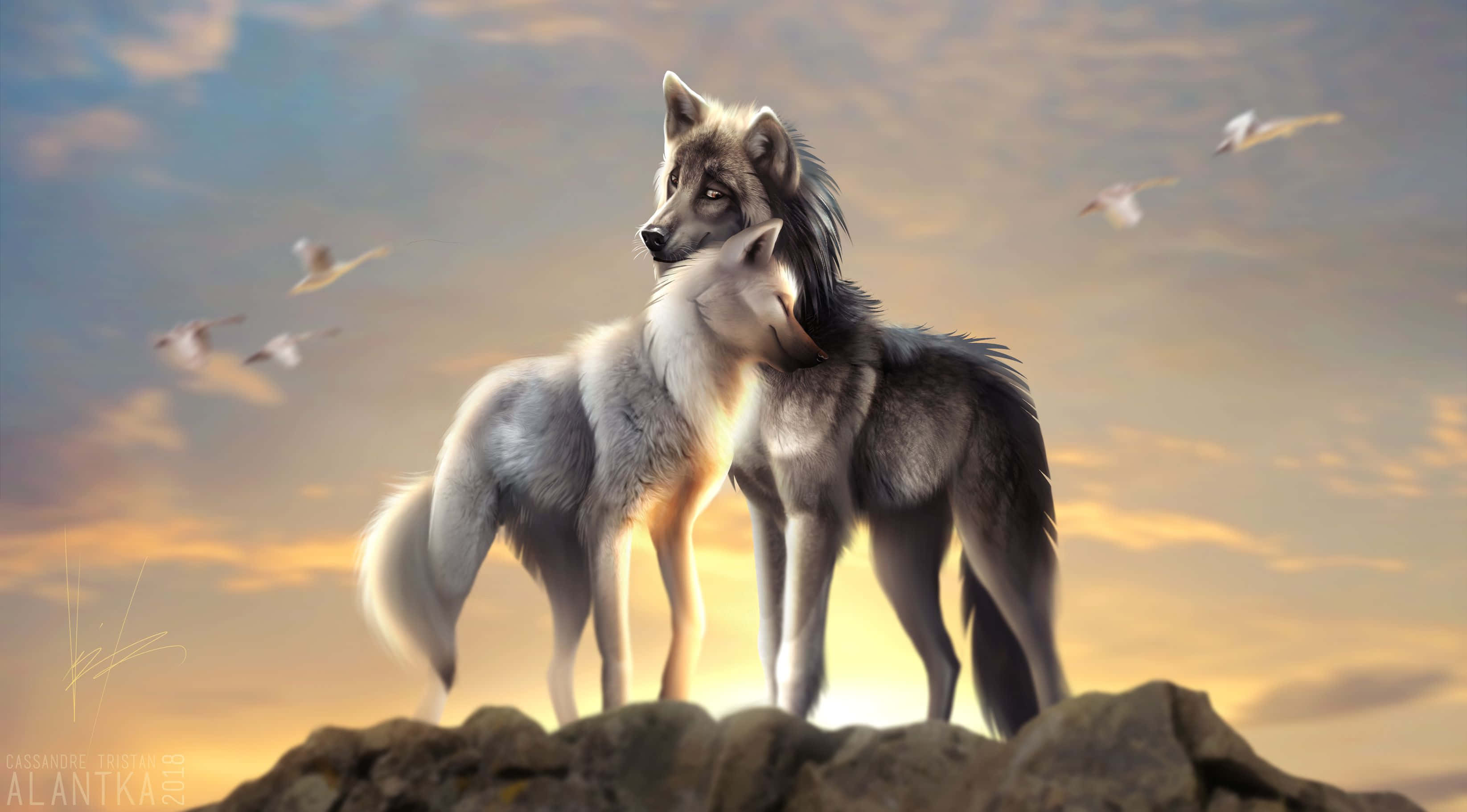 Cute Wolves, sunrise, rocky cliff, 2K Desktop Wallpaper