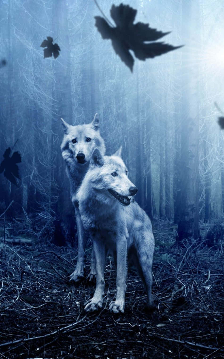 wolf, forest, autumn leaves, HD Phone Wallpaper