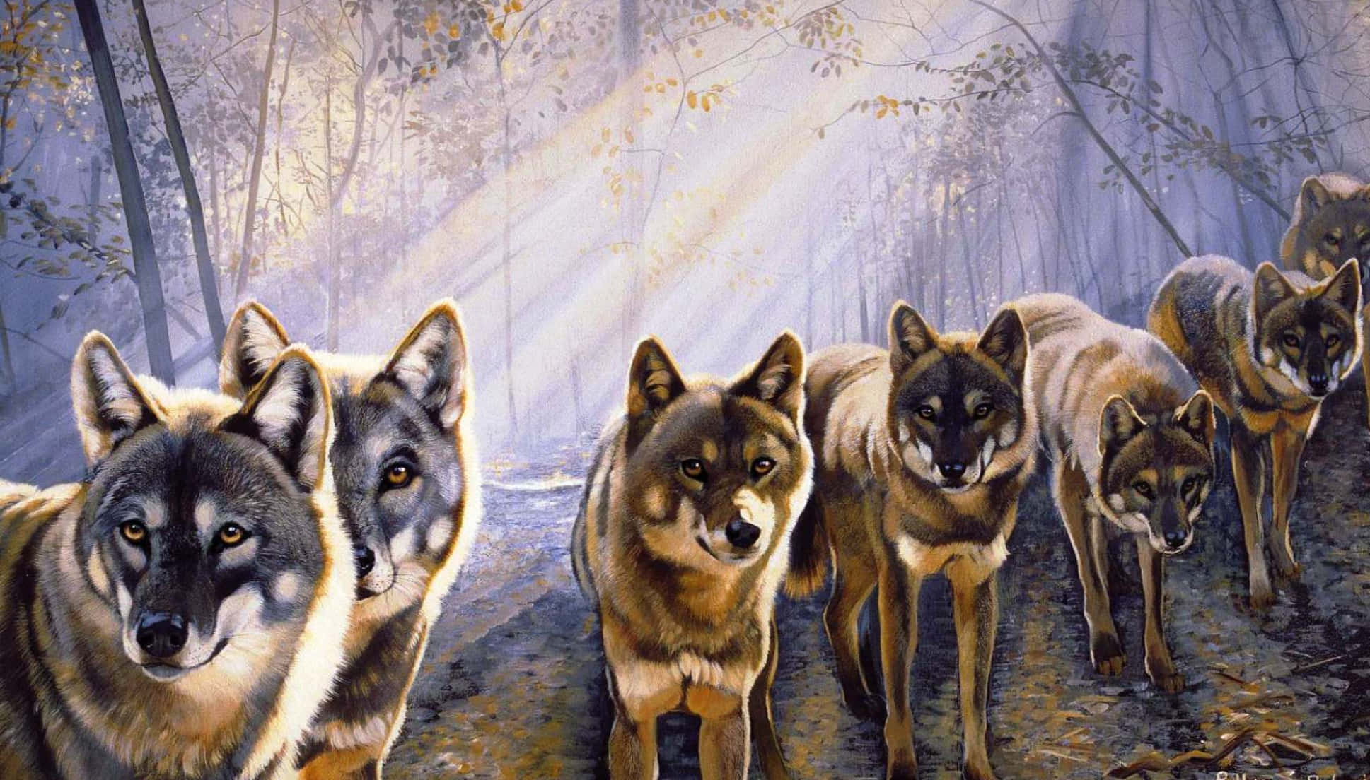 Cute Wolves, piercing eyes, misty autumn forest, Full HD Desktop Wallpaper