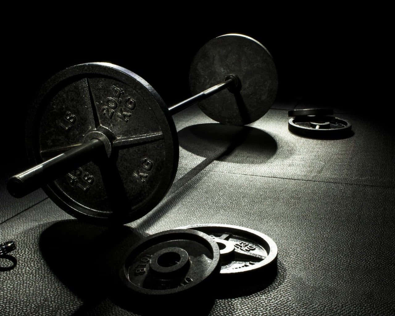 Cute Workout, barbell, weights, HD Desktop Wallpaper