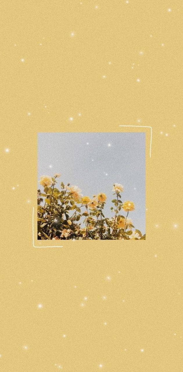 yellow roses, pale sky, textured golden background, HD Phone Wallpaper