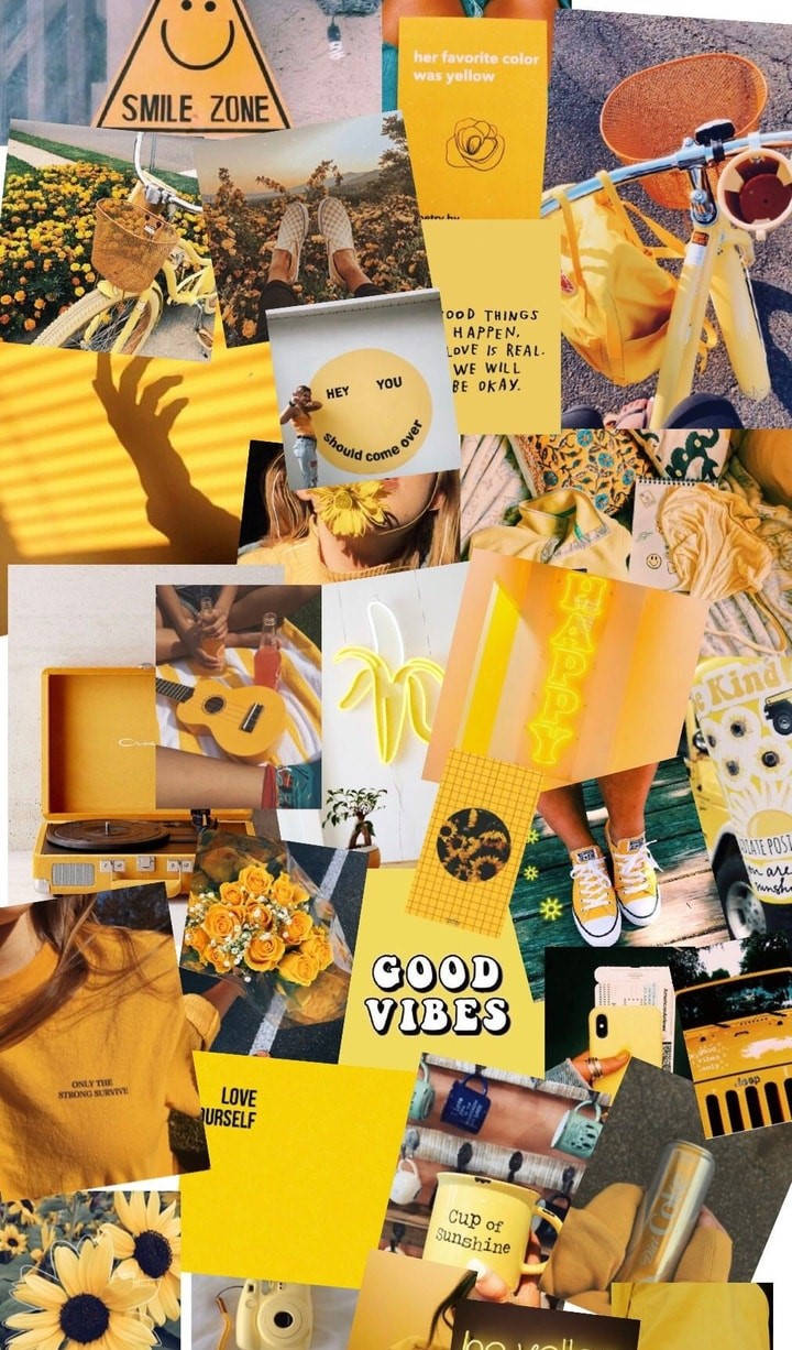 Cute Yellow Aesthetic, vibrant yellow, sunflowers, SD Phone Wallpaper
