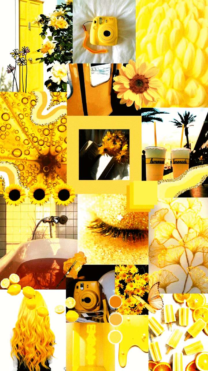 yellow stars, sunny day, sunflowers, HD Phone Wallpaper