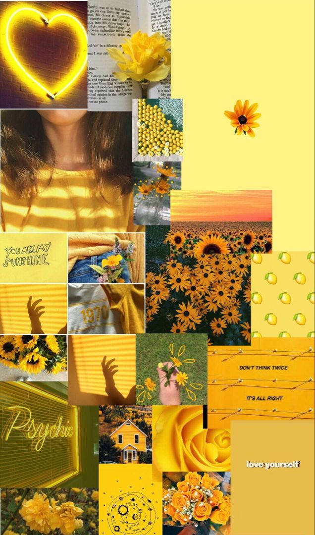 cute yellow aesthetic, sunflowers, glowing hearts, SD Phone Wallpaper