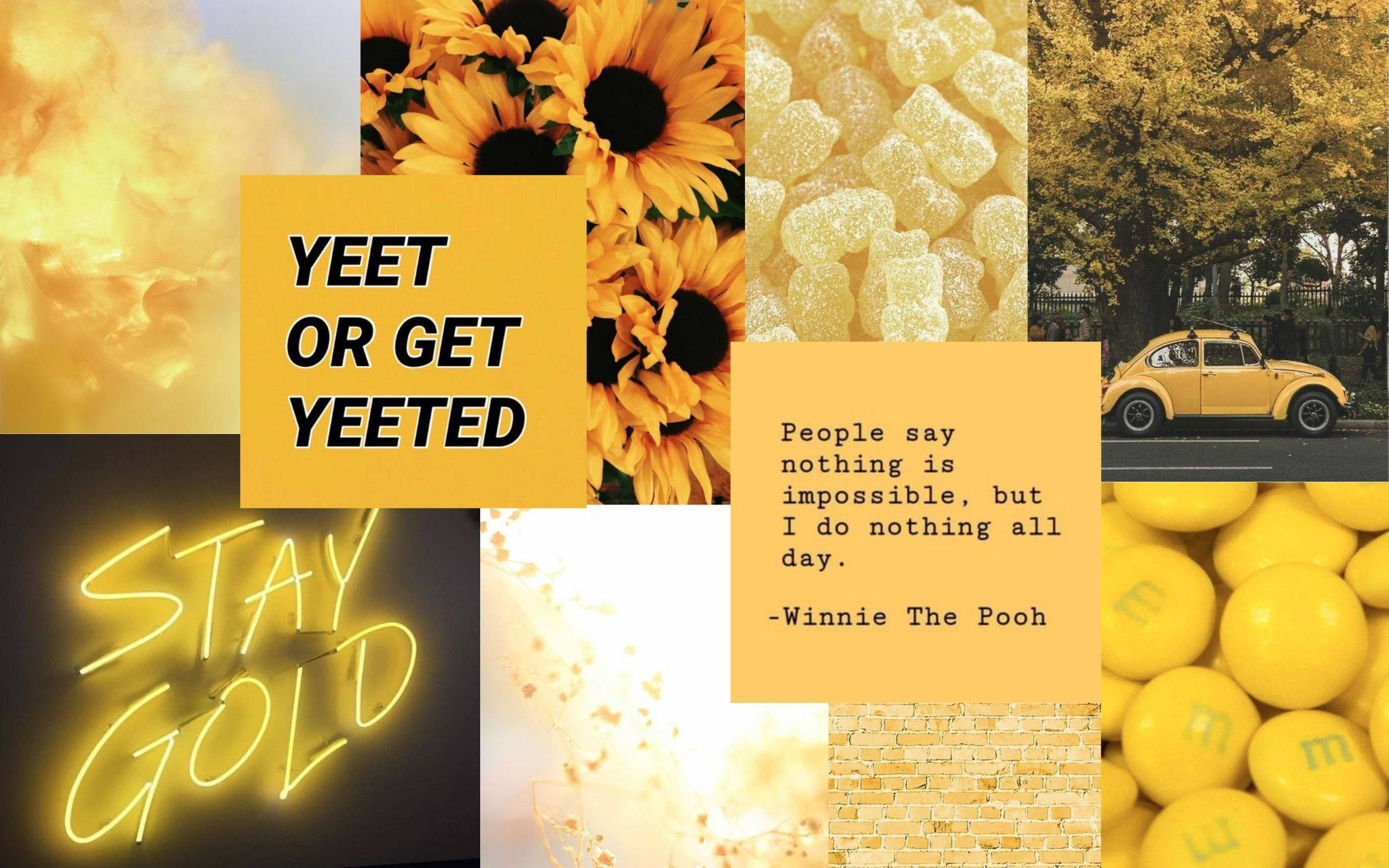 cute yellow aesthetic, sunflowers, neon signs, 2K Desktop Wallpaper