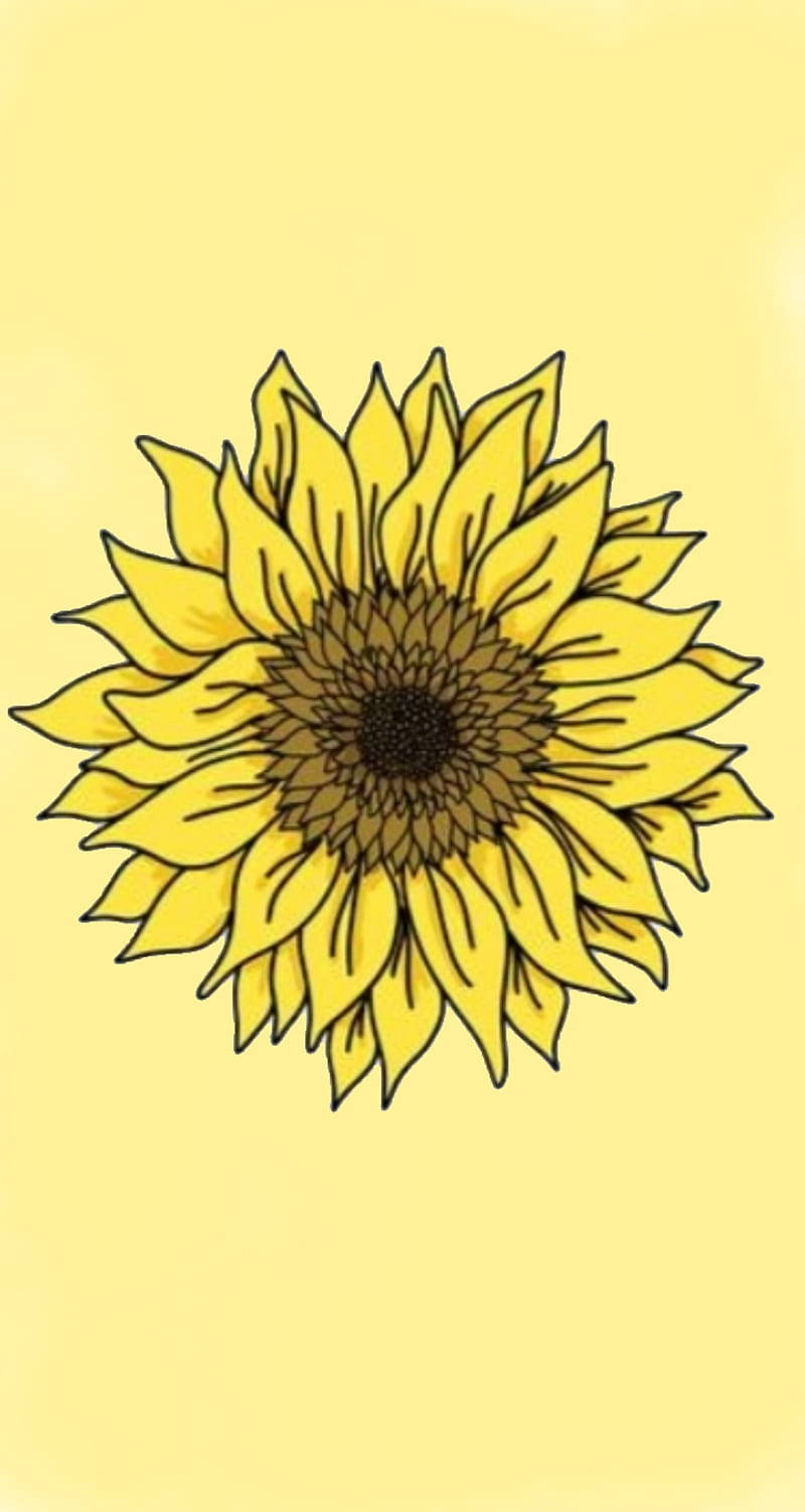 Sunflower, vibrant yellow, dark center, HD Phone Wallpaper