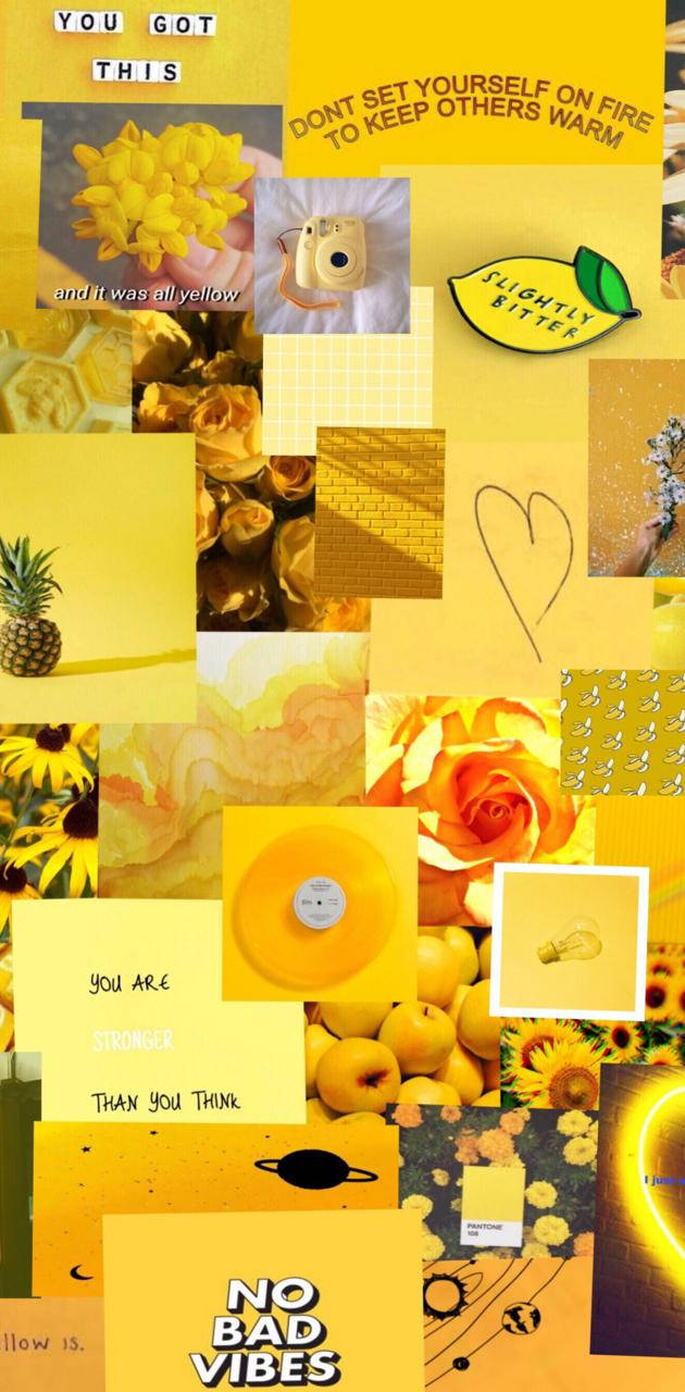 cute yellow aesthetic, sunflowers, pineapples, HD Phone Wallpaper